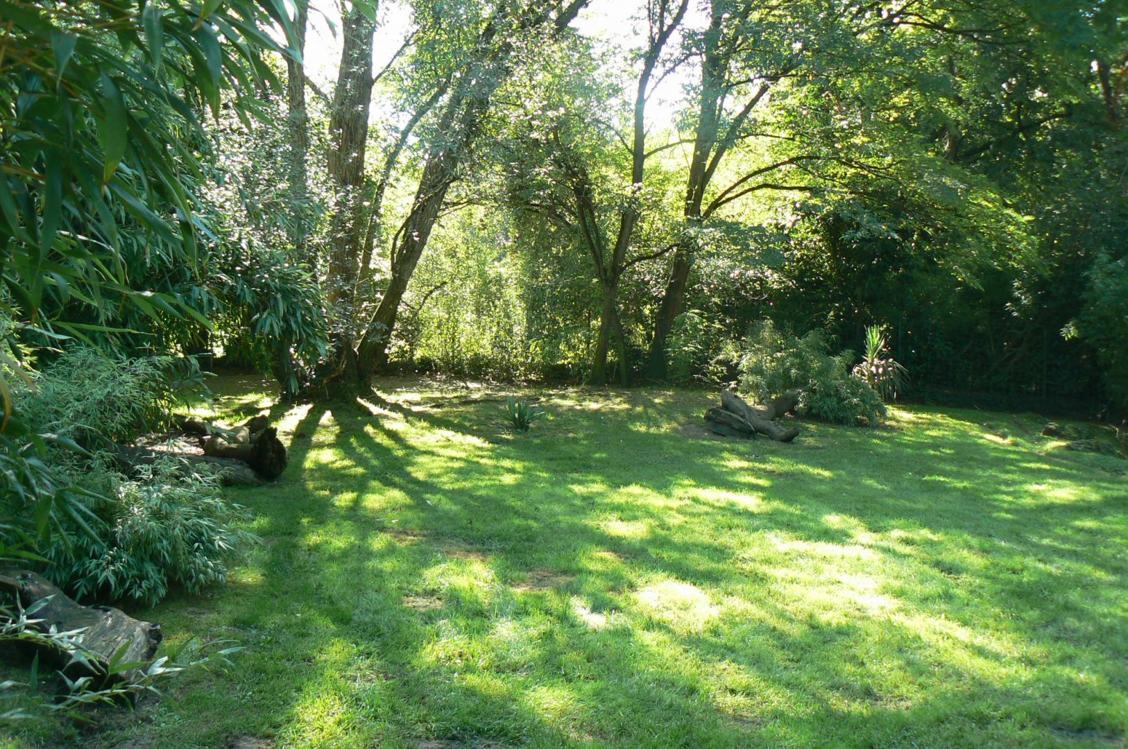 Zoo de la Flèche - Maned wolves exhibit