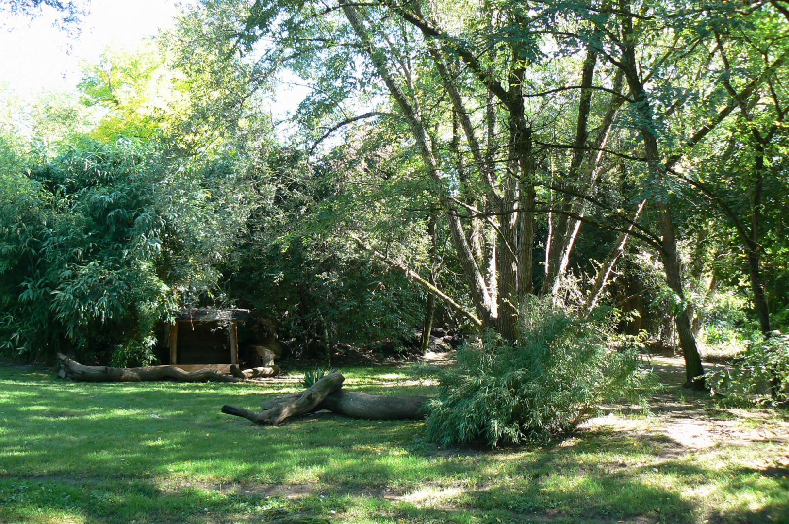 Zoo de la Flèche - Maned wolves exhibit