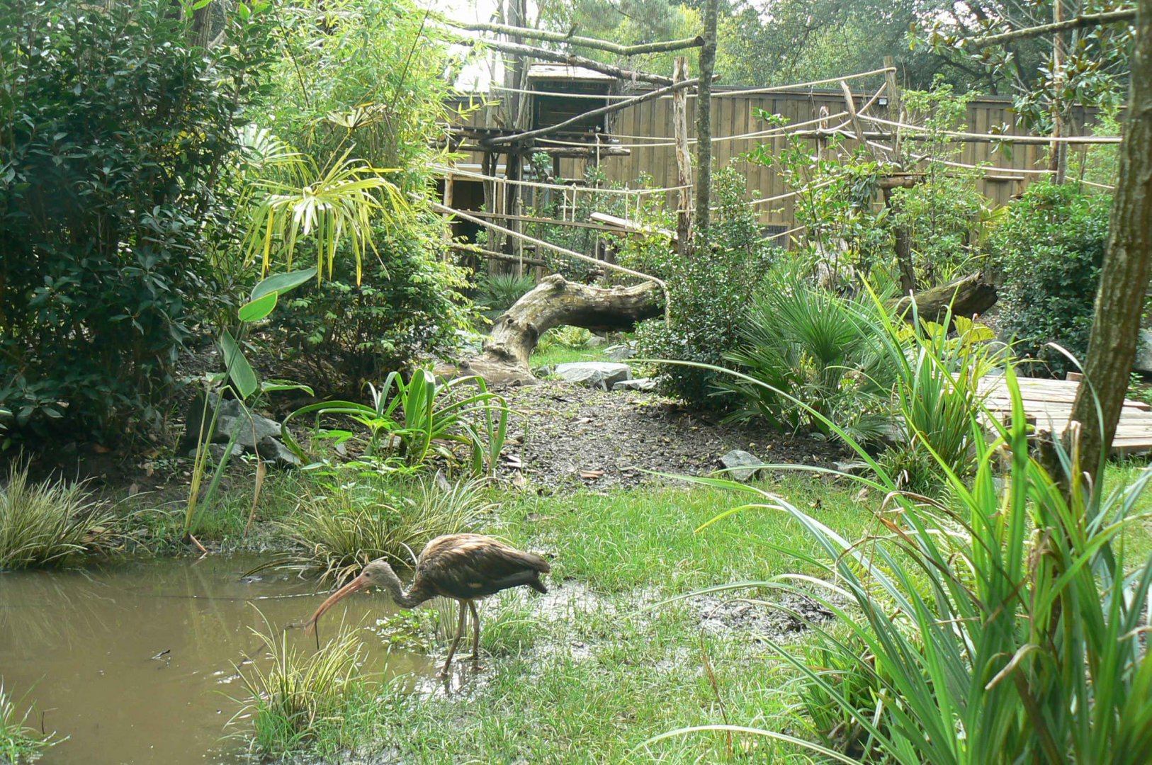 Zoo de la Flèche - New south-american aviary