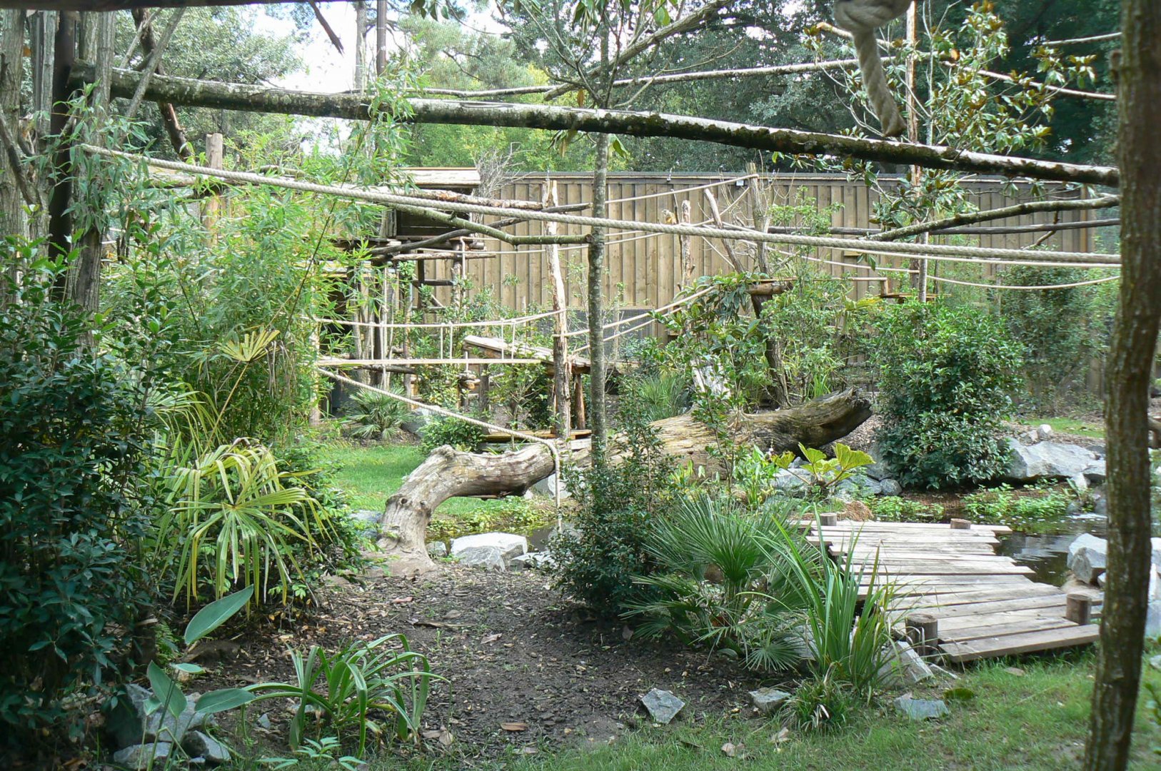 Zoo de la Flèche - New south-american aviary
