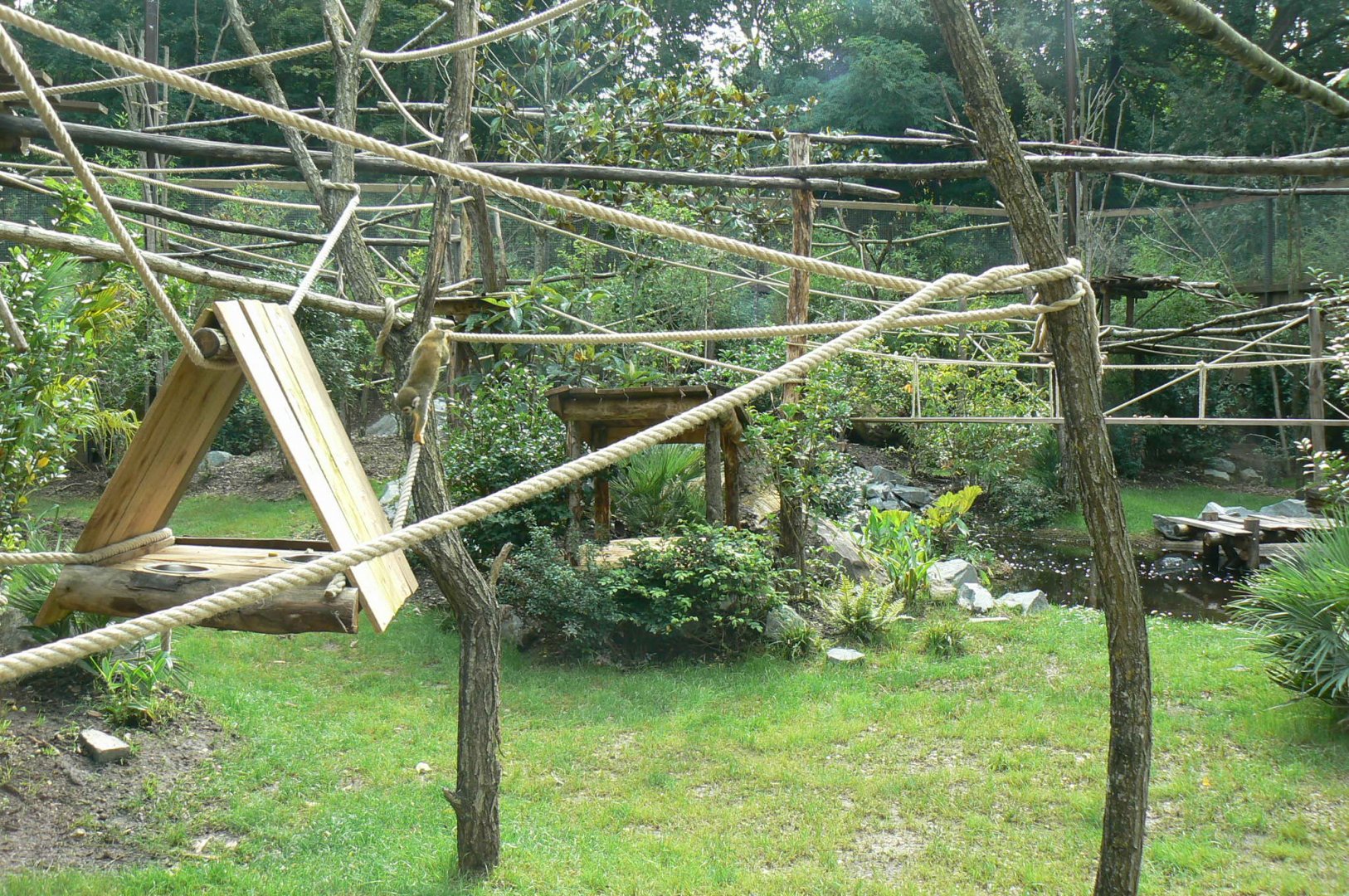 Zoo de la Flèche - New south-american aviary