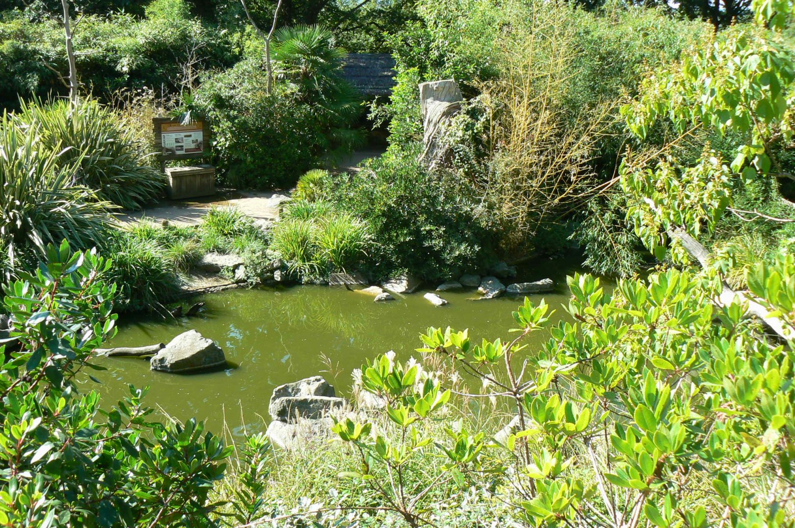 Zoo de la Flèche - Nosy Komba - Lemurs walkthrough exhibit
