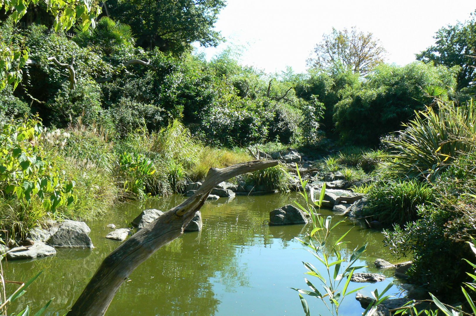 Zoo de la Flèche - Nosy Komba - Lemurs walkthrough exhibit