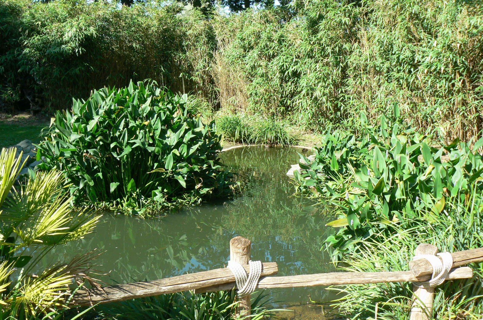 Zoo de la Flèche - Nosy Komba - Lemurs walkthrough exhibit