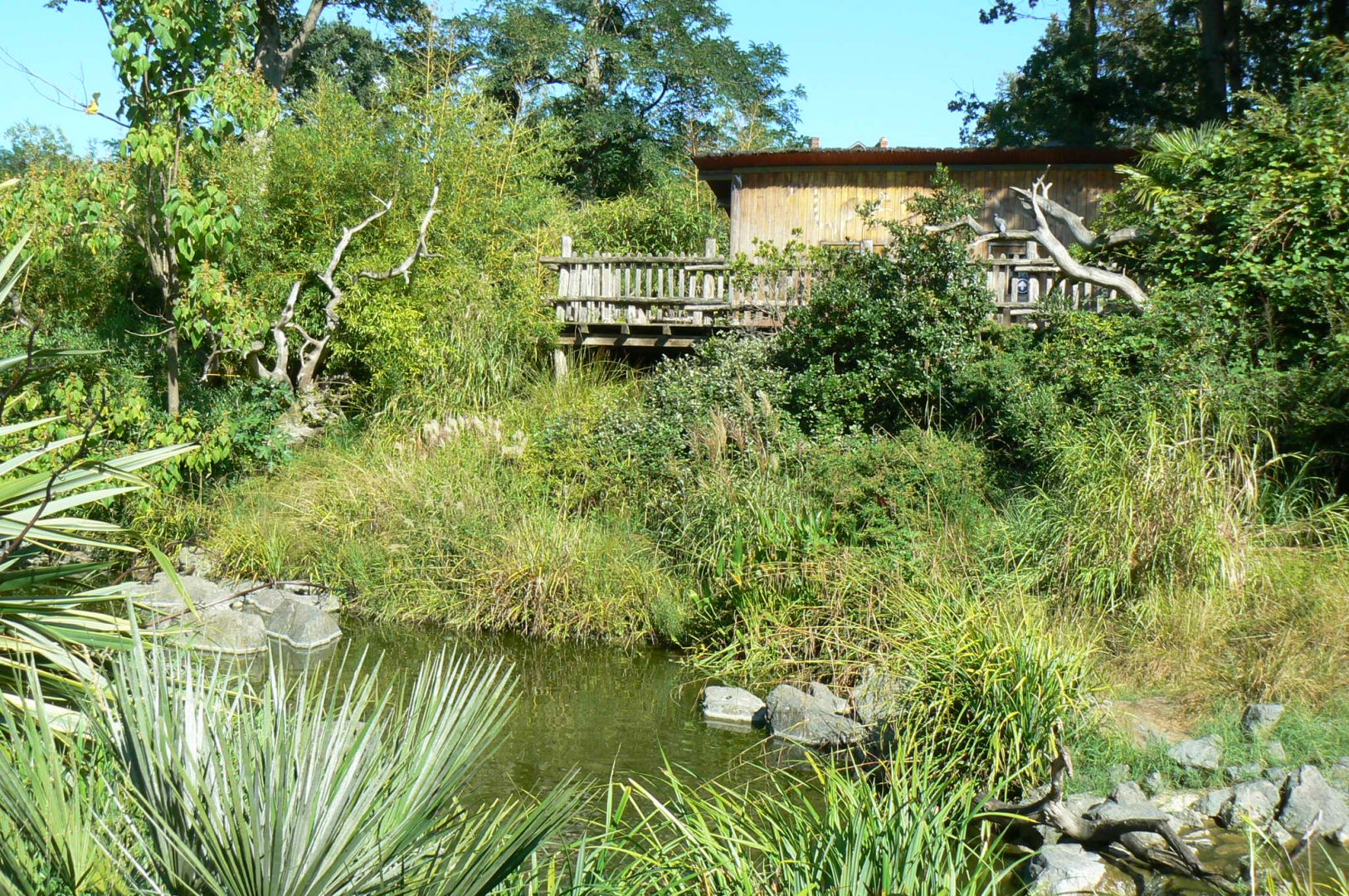 Zoo de la Flèche - Nosy Komba - Lemurs walkthrough exhibit