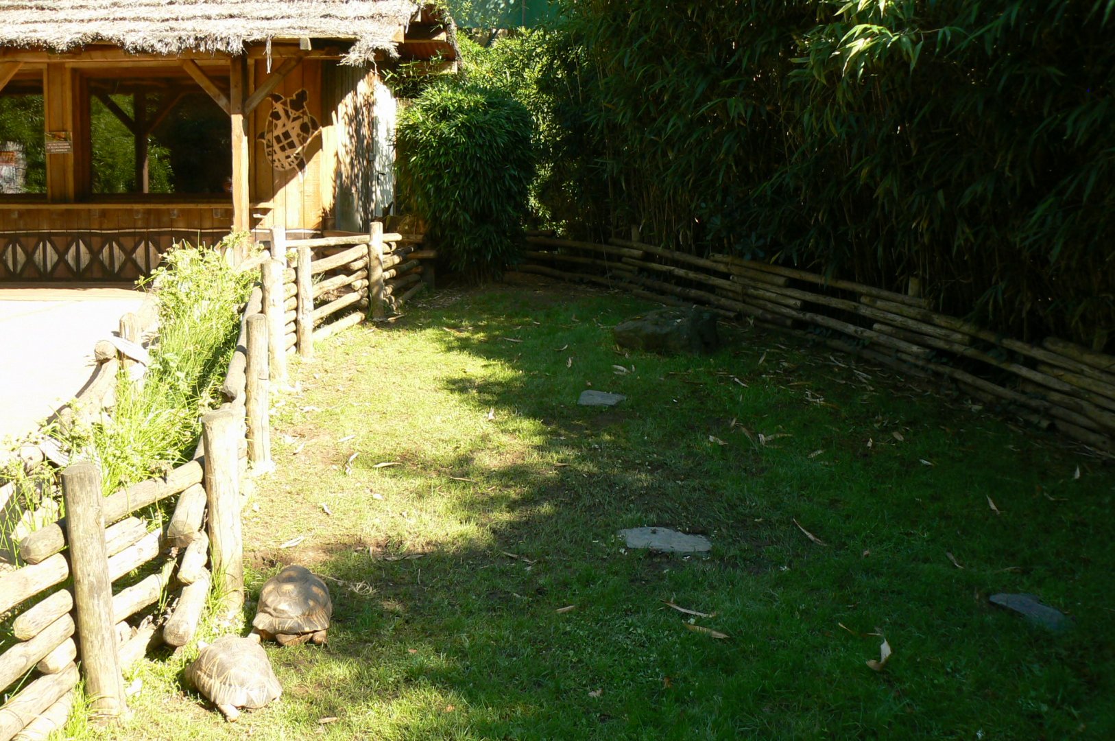 Zoo de la Flèche - Nosy Komba - Radiated tortoises enclosure and house