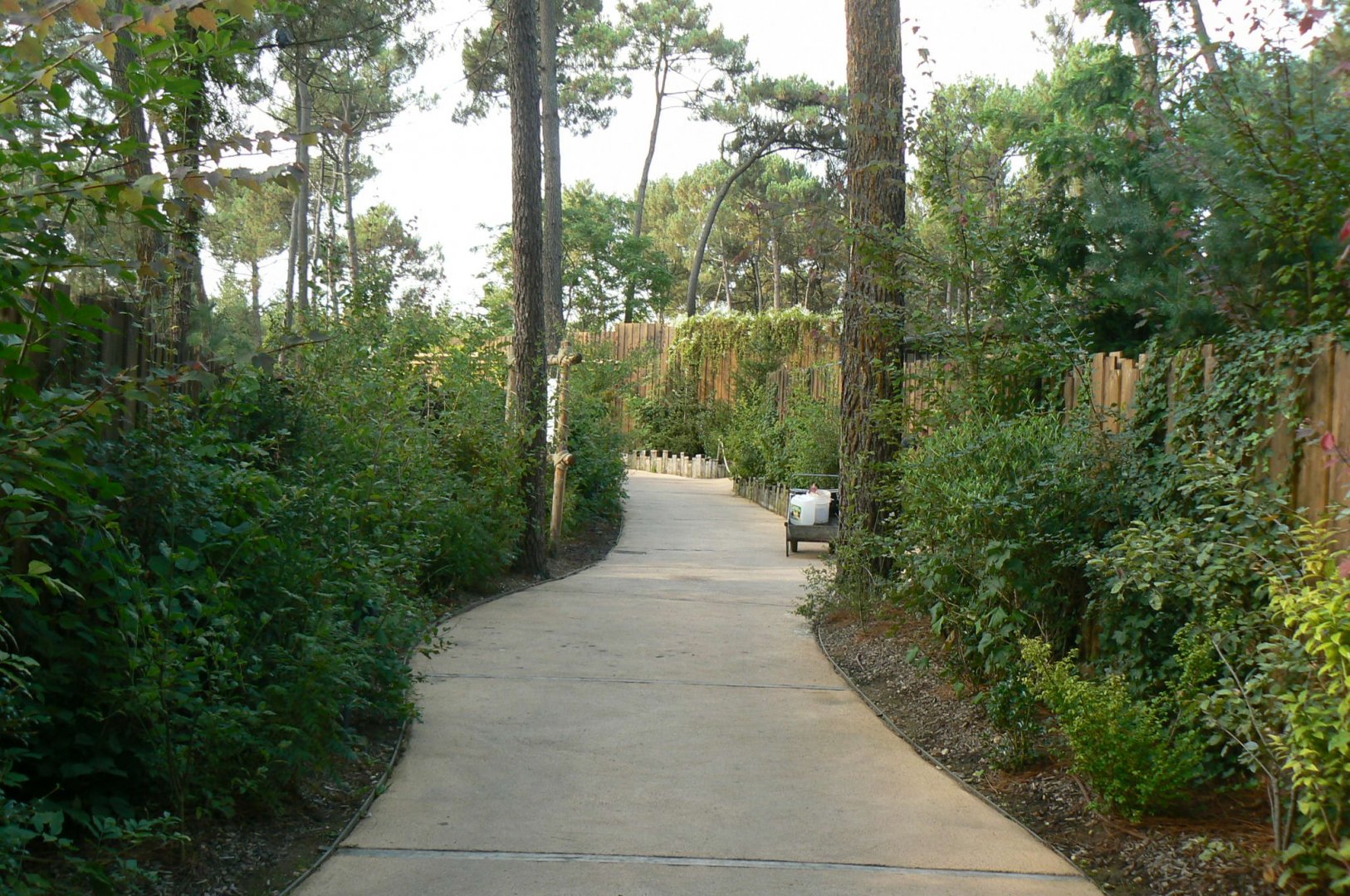 Zoo de la Flèche - Path towards the female polar bear enclosure