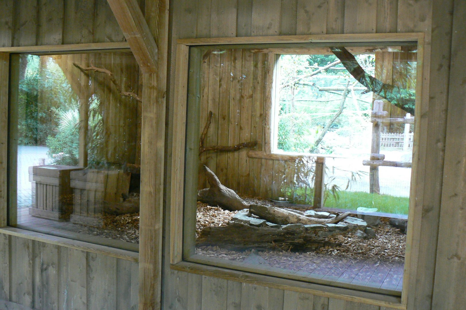 Zoo de la Flèche - Six-banded armadillos house viewing windows