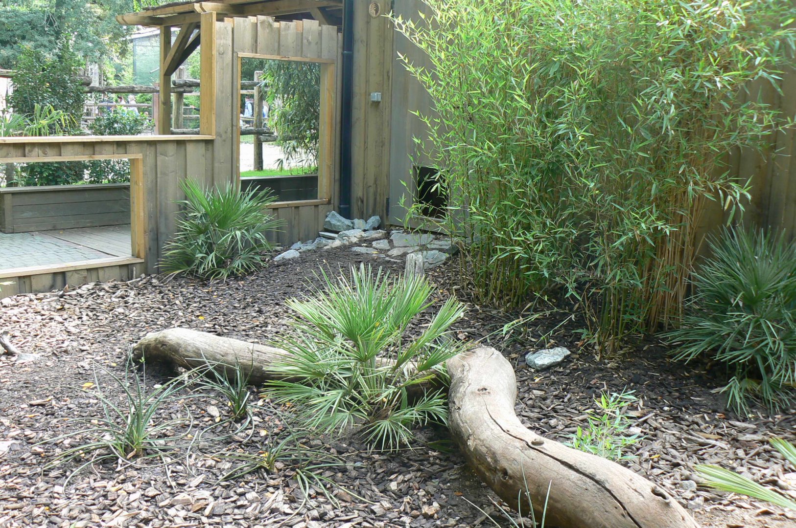 Zoo de la Flèche - Six-banded armadillos outdoor enclosure