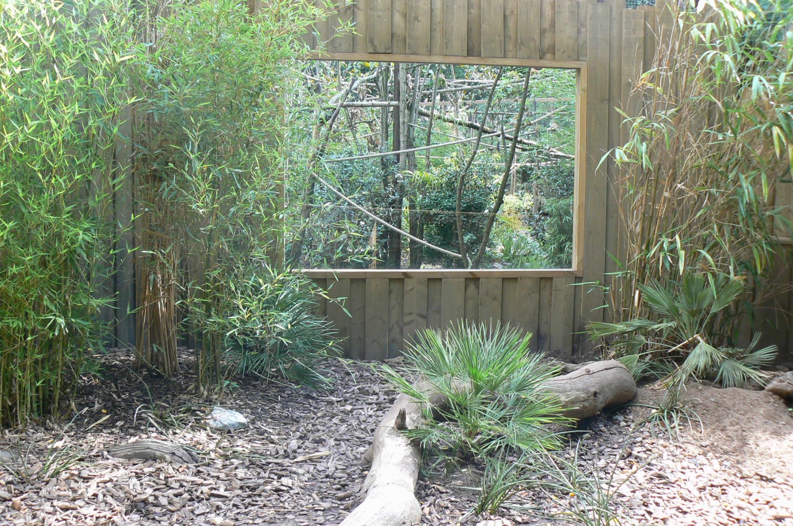 Zoo de la Flèche - Six-banded armadillos outdoor enclosure