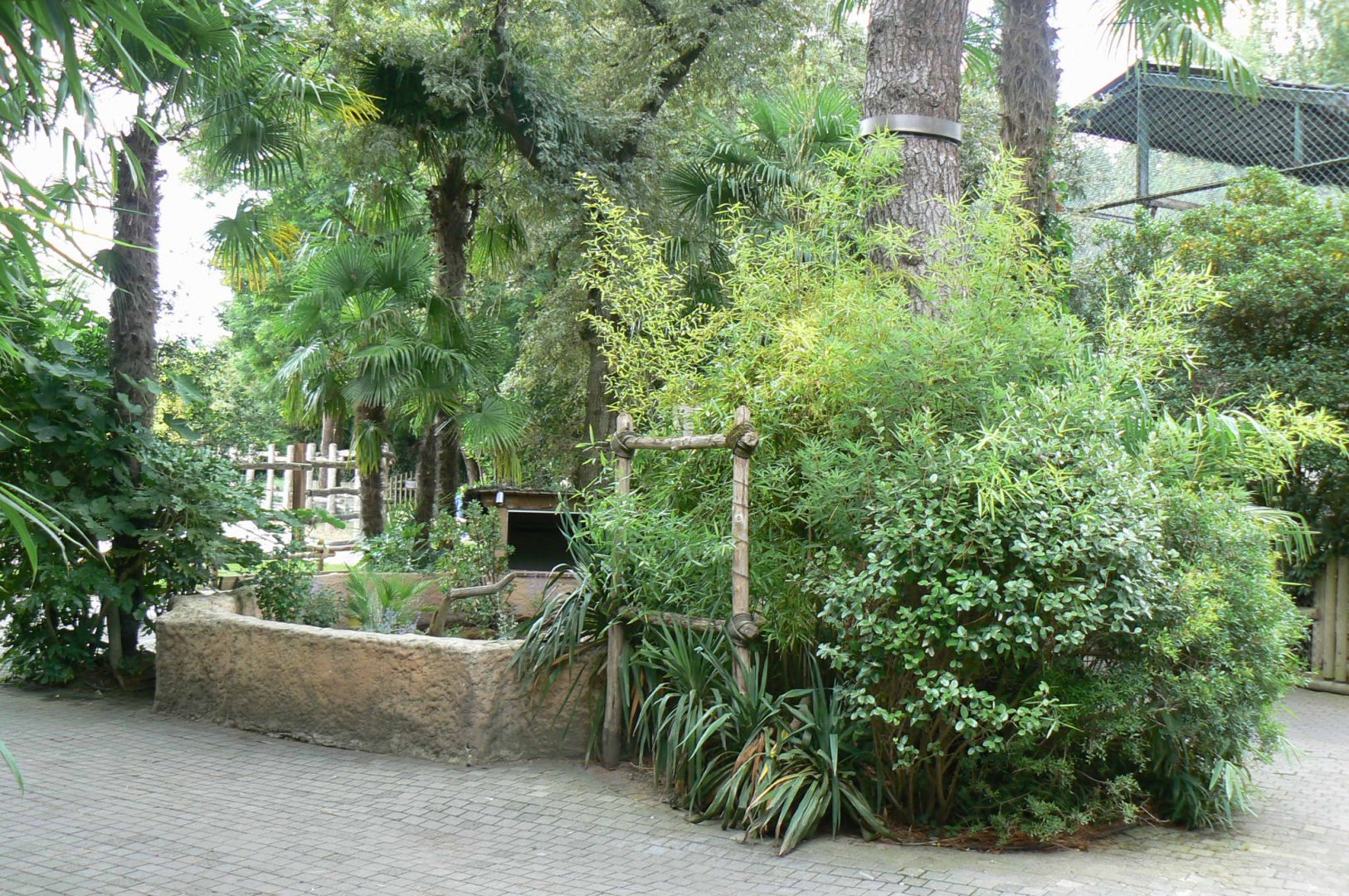 Zoo de la Flèche - Small tortoises enclosure