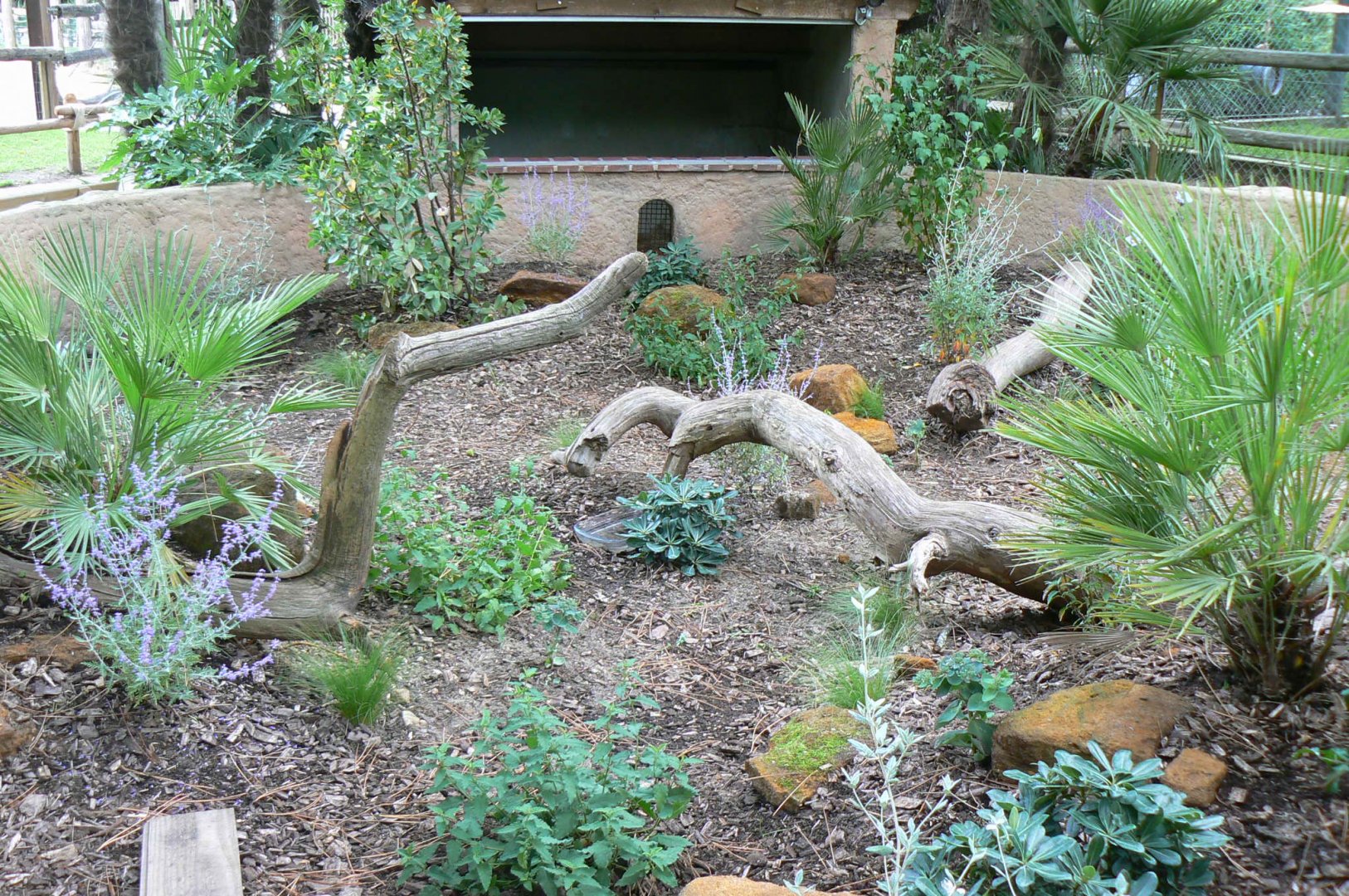 Zoo de la Flèche - Small tortoises enclosure