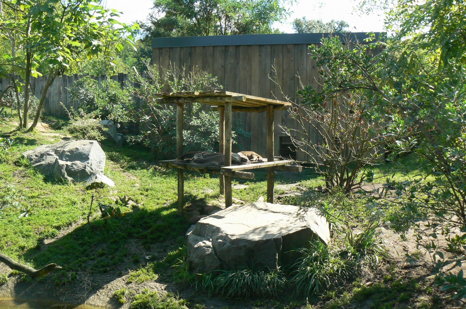 Zoo de la Flèche - Smooth-coated otters exhibit