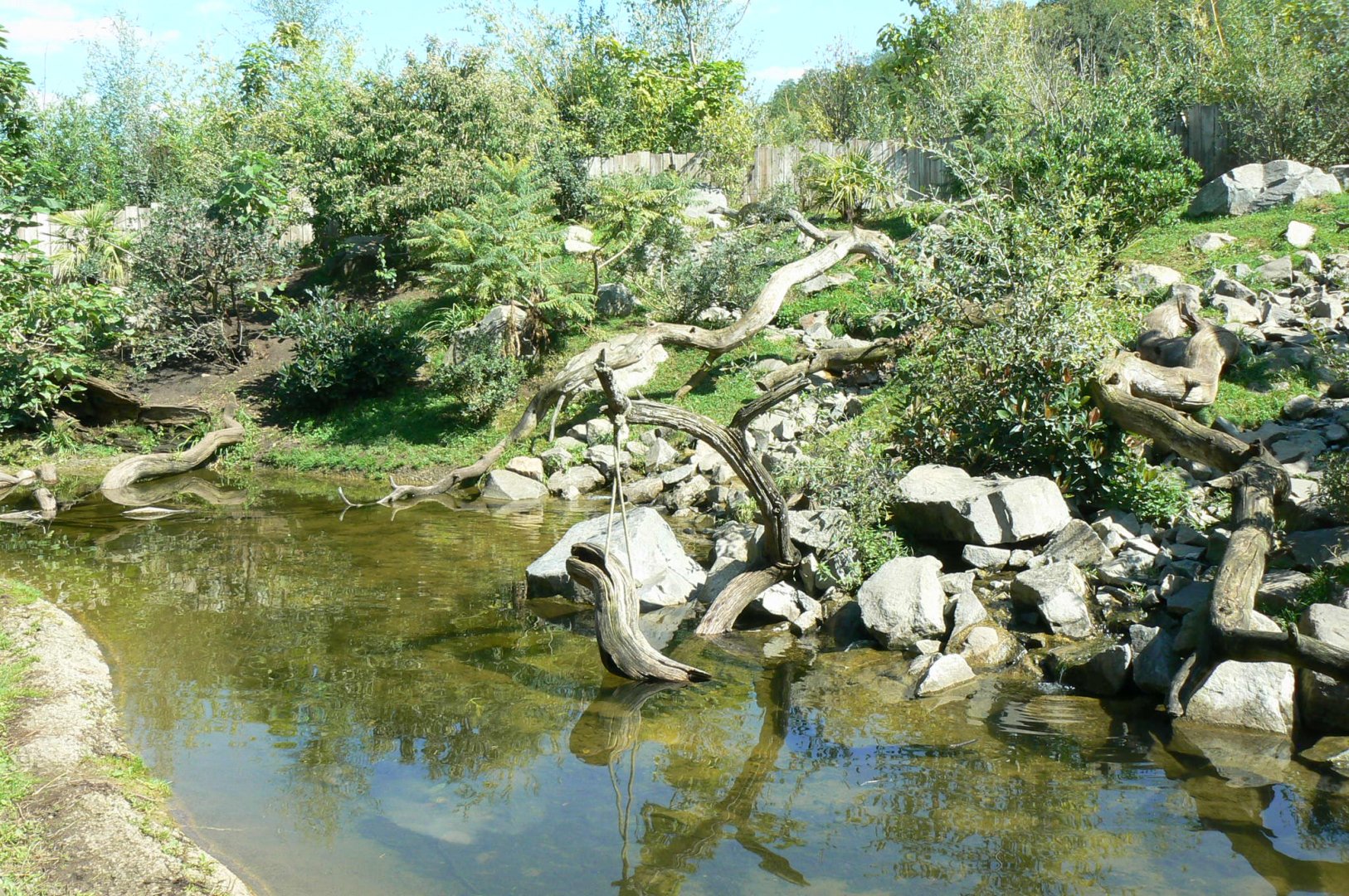 Zoo de la Flèche - Smooth-coated otters exhibit