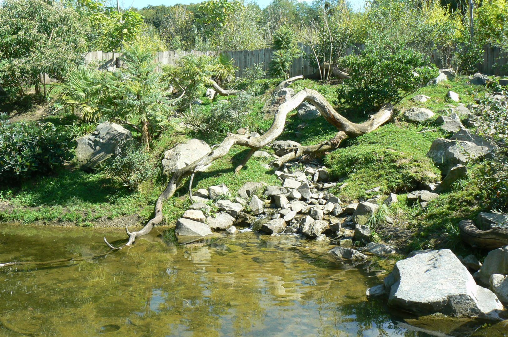 Zoo de la Flèche - Smooth-coated otters exhibit