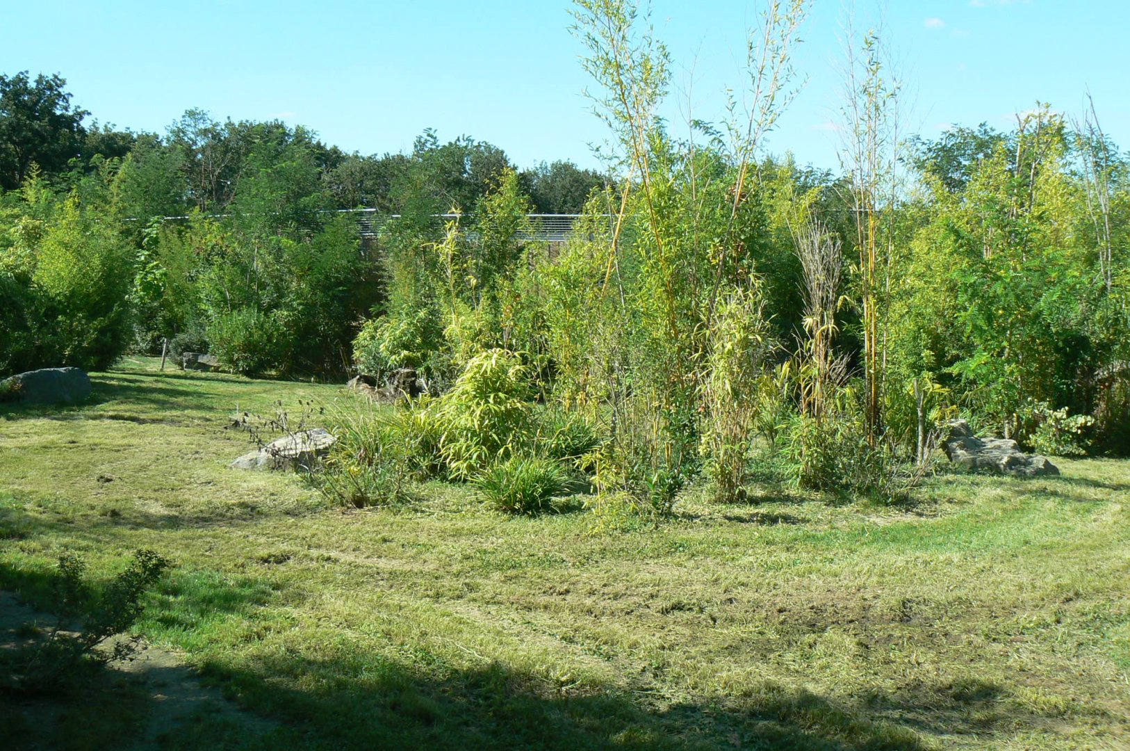 Zoo de la Flèche - Sumatran tigers exhibit