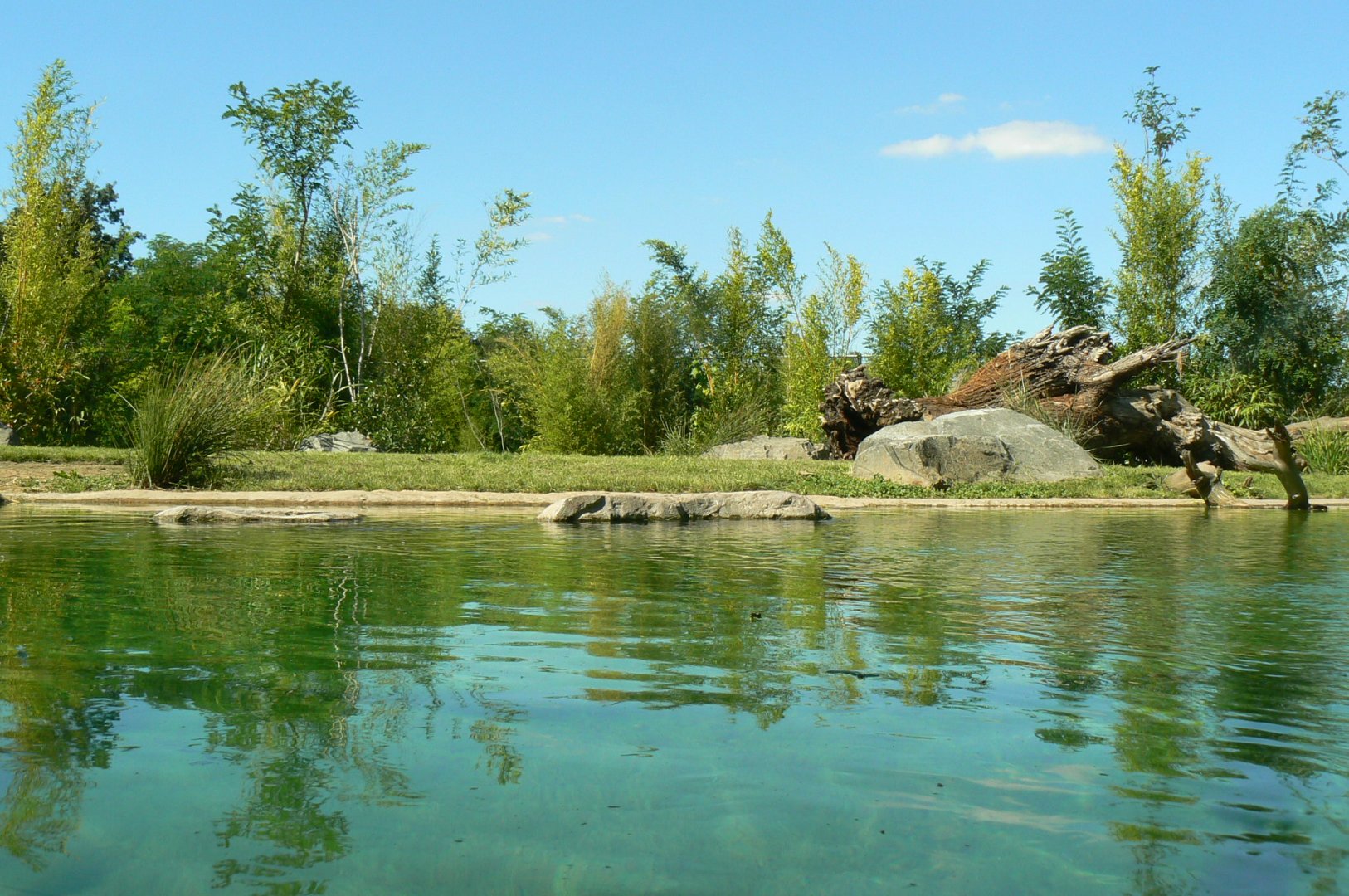 Zoo de la Flèche - Sumatran tigers exhibit