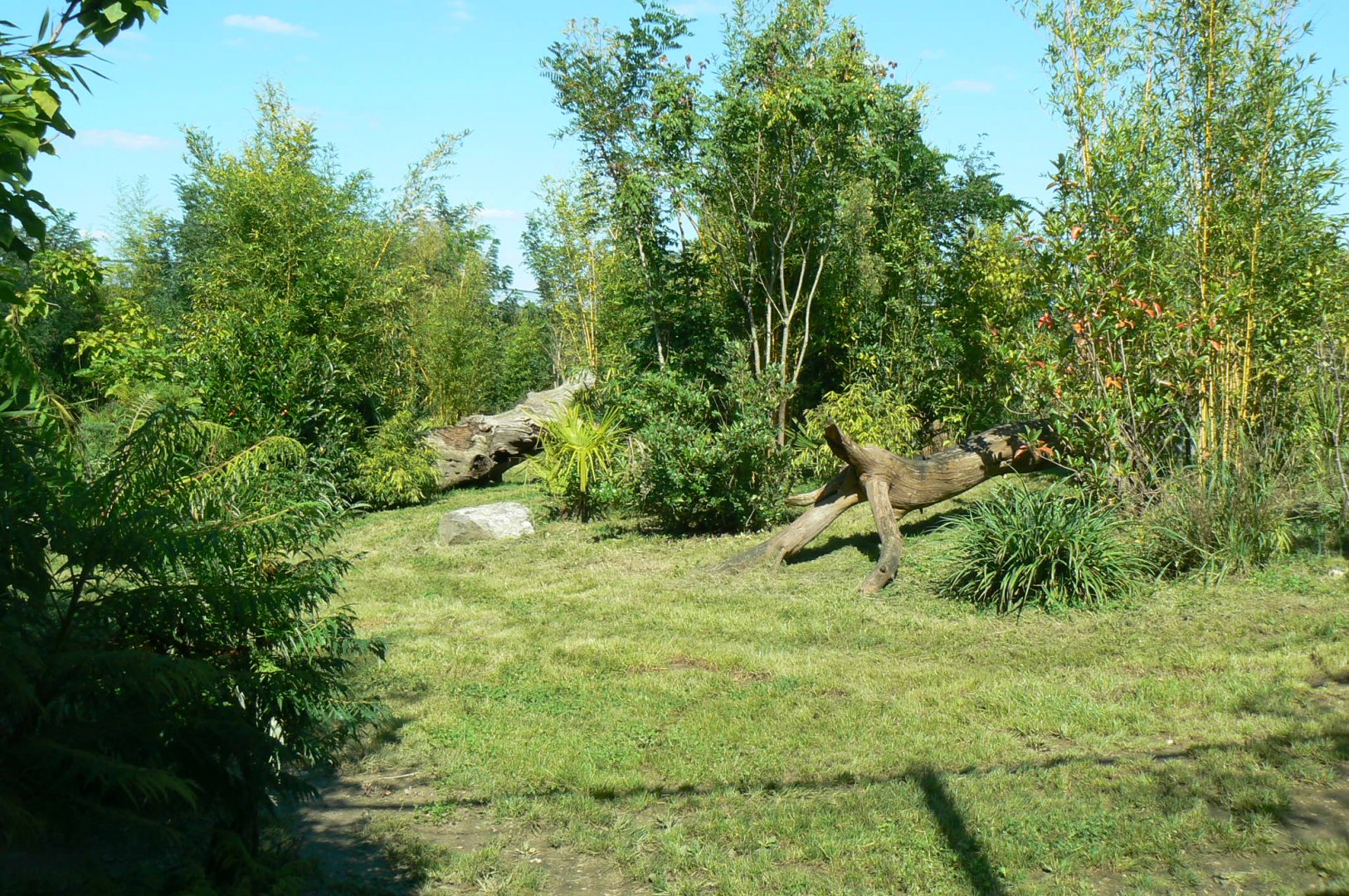 Zoo de la Flèche - Sumatran tigers exhibit