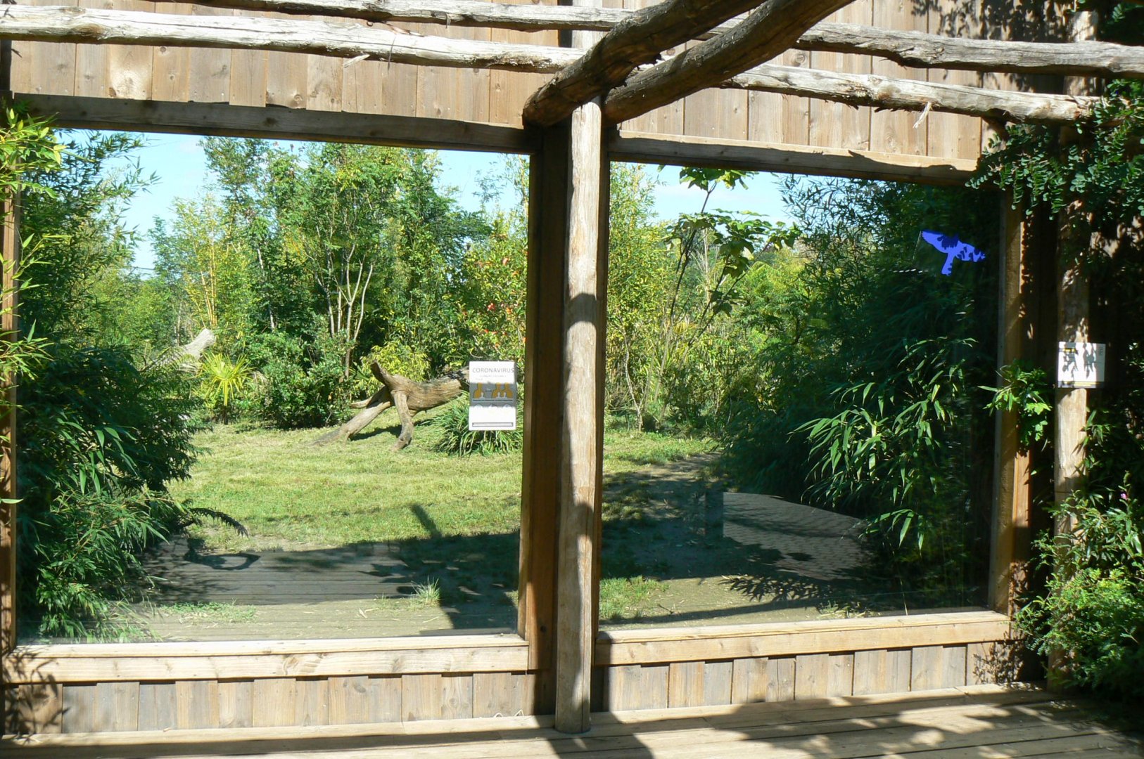 Zoo de la Flèche - Sumatran tigers exhibit