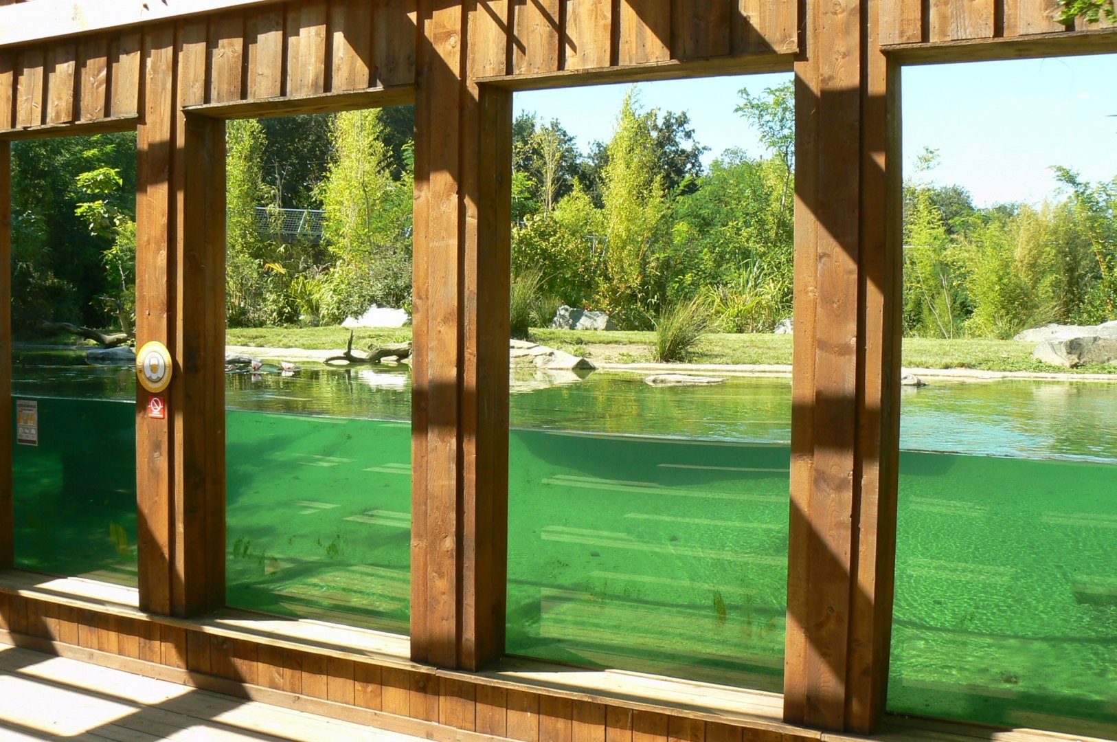 Zoo de la Flèche - Sumatran tigers underwater viewing