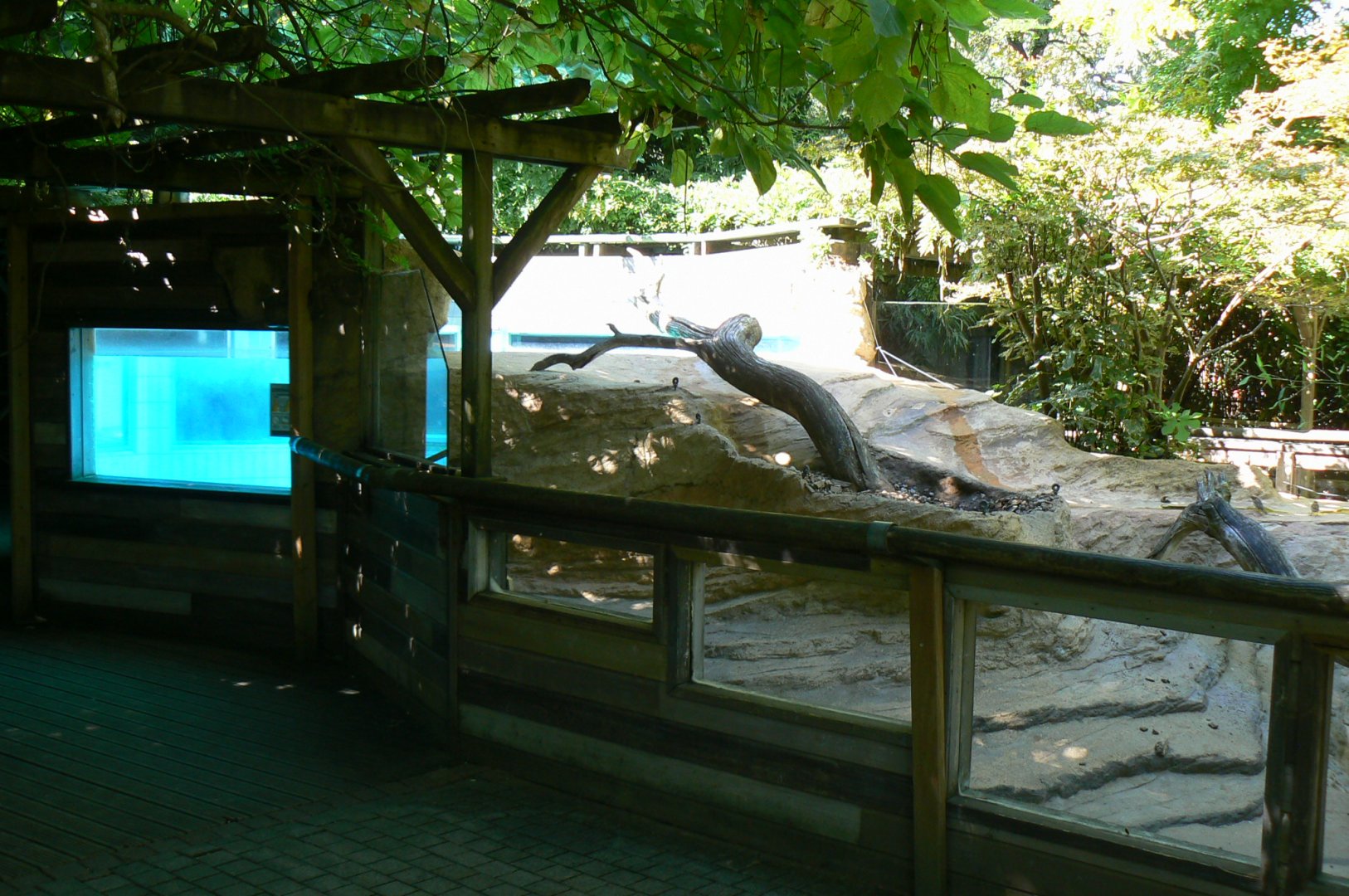 Zoo de la Flèche - Very poor canadian otter exhibit