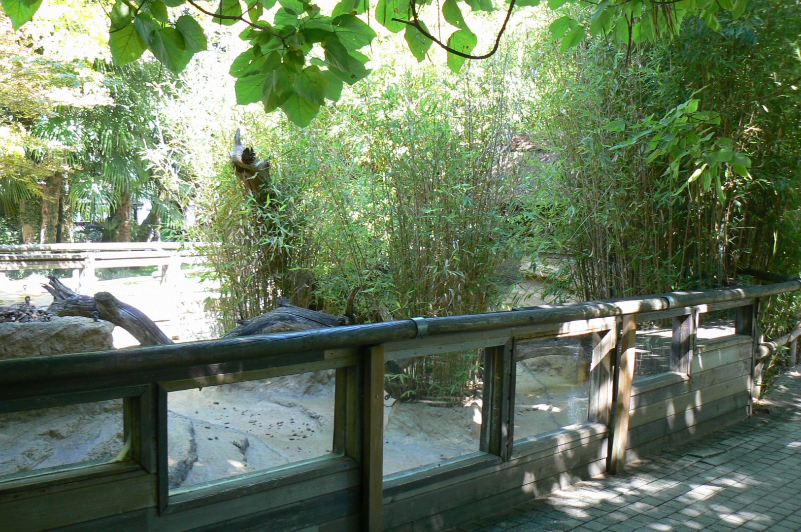 Zoo de la Flèche - Very poor canadian otter exhibit