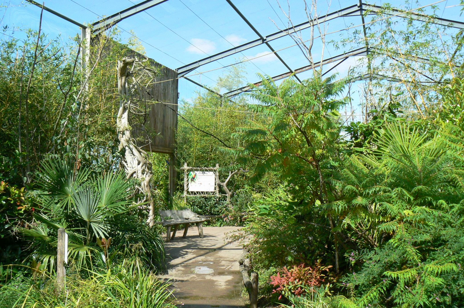 Zoo de la Flèche - Walkthrough asian aviary