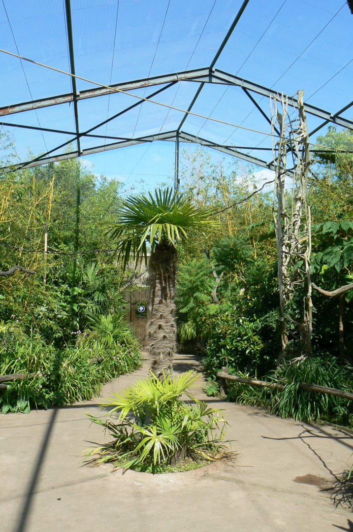 Zoo de la Flèche - Walkthrough asian aviary