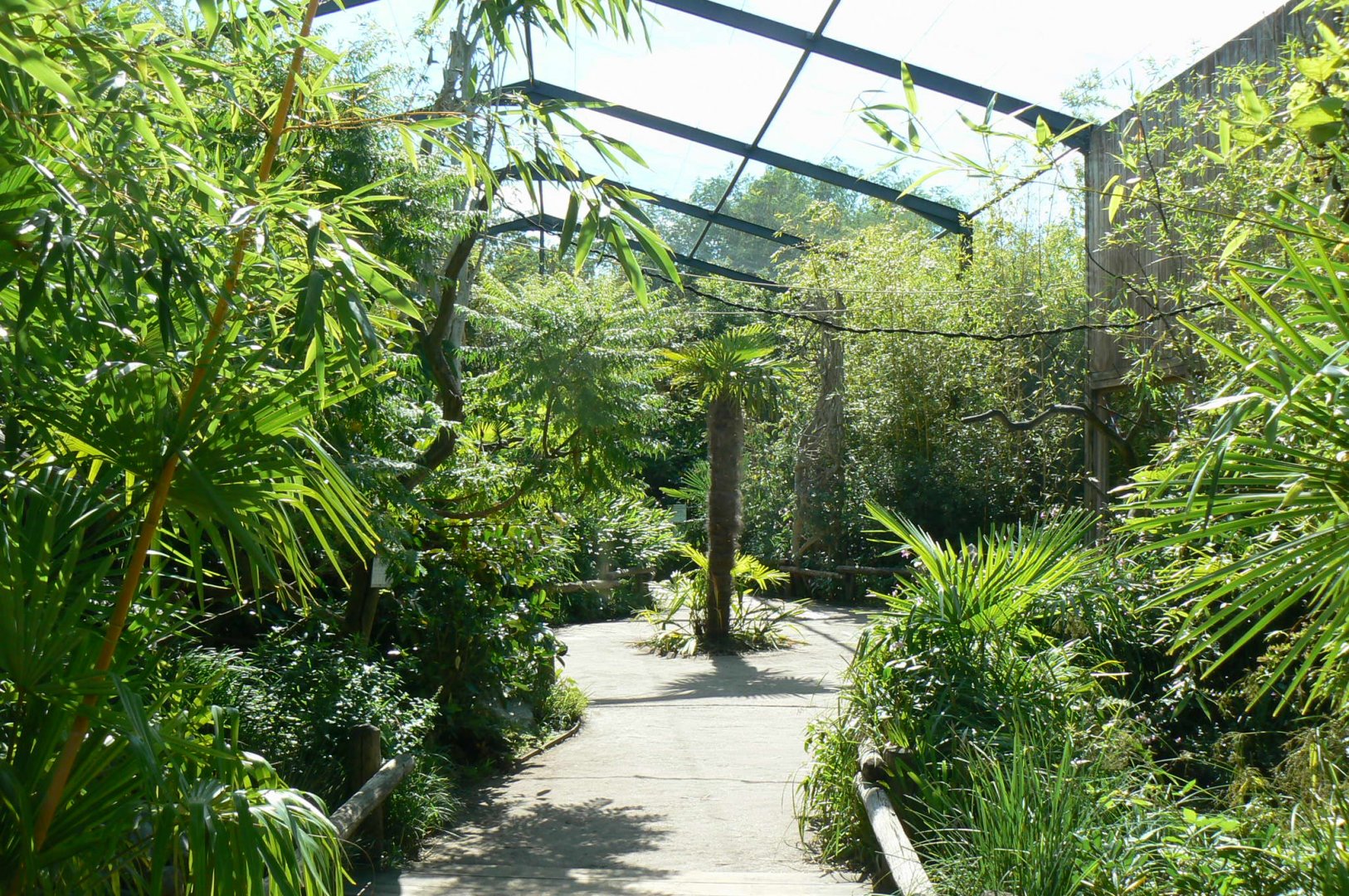 Zoo de la Flèche - Walkthrough asian aviary