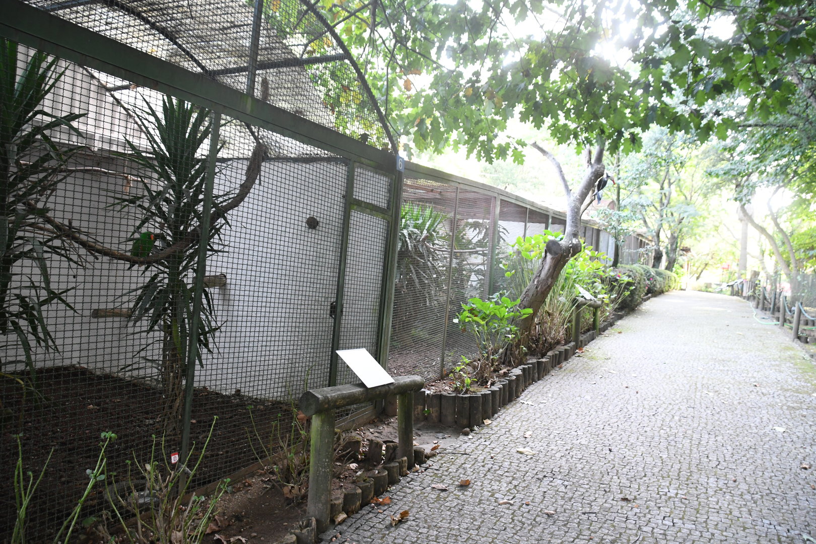 Zoo de Lourosa: row of Parrot Aviaries