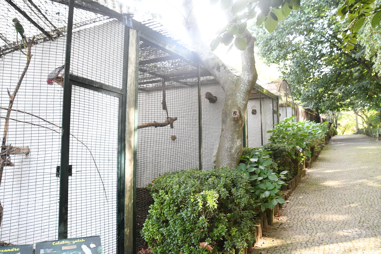 Zoo de Lourosa: row of Parrot Aviaries