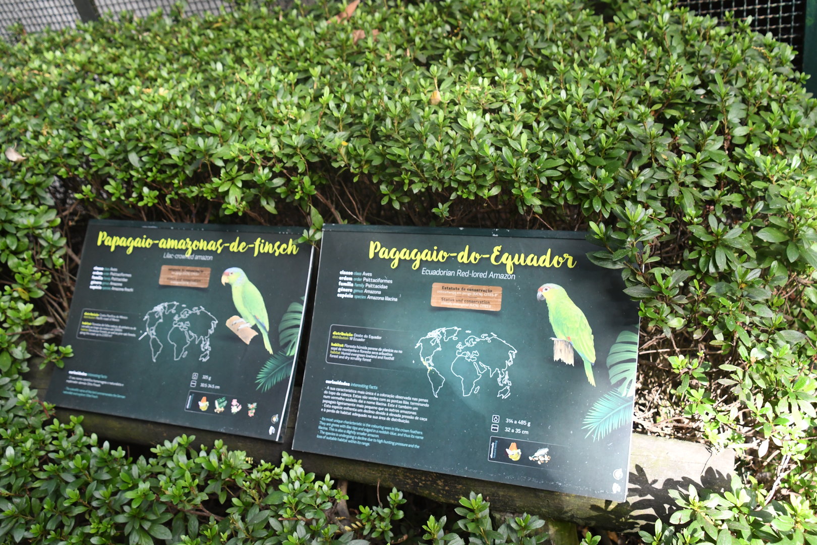 Zoo de Lourosa: sample signage