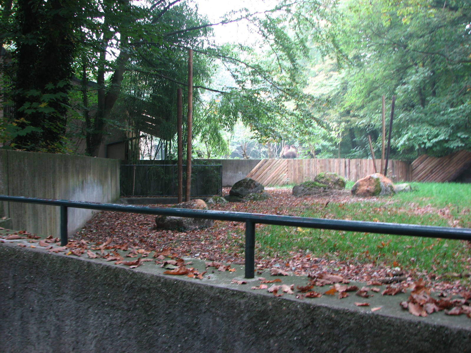 Zoo de Mulhouse 2006 - Brazilian Tapir exhibit