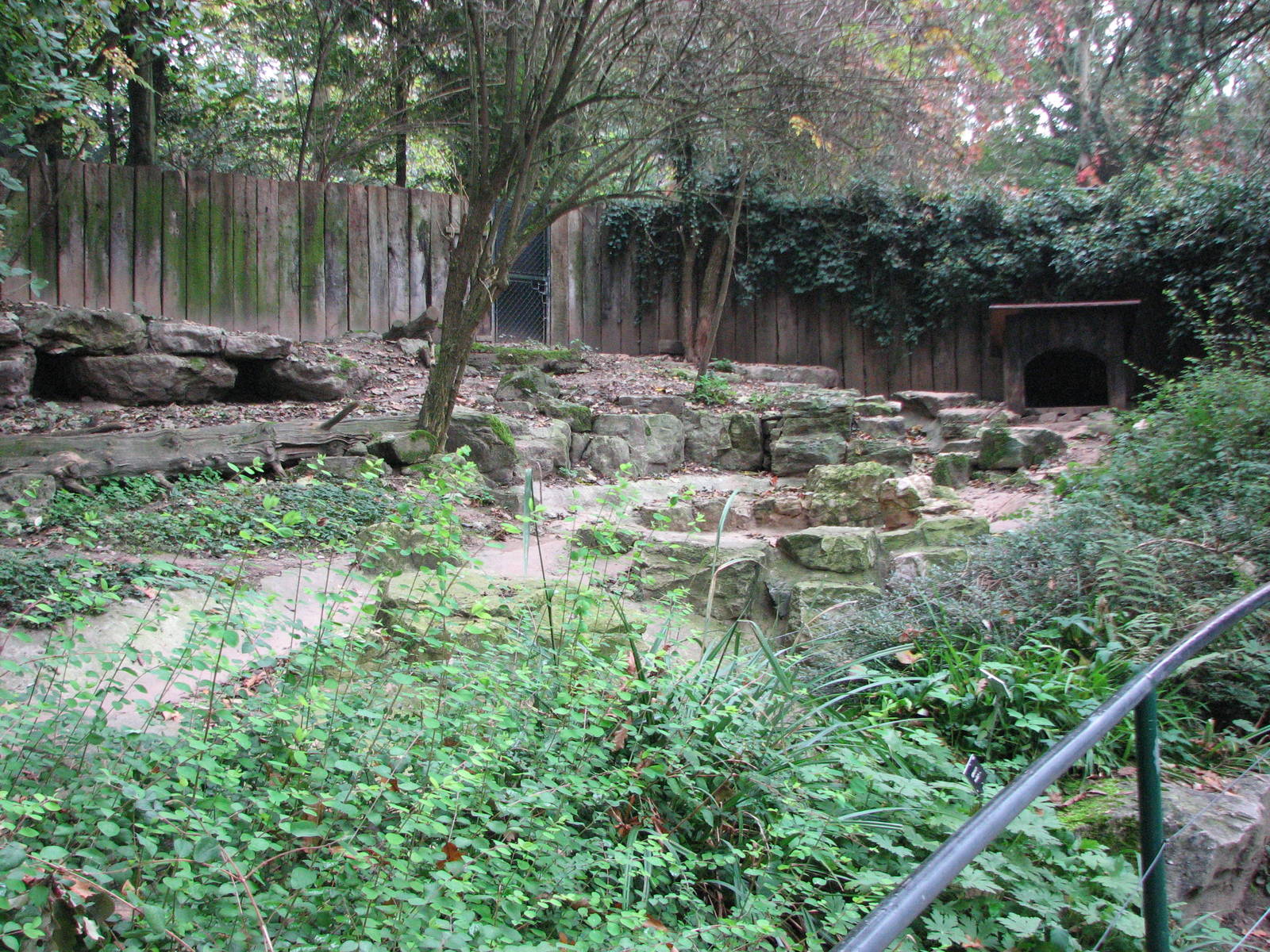 Zoo de Mulhouse 2006 - Bush Dog exhibit
