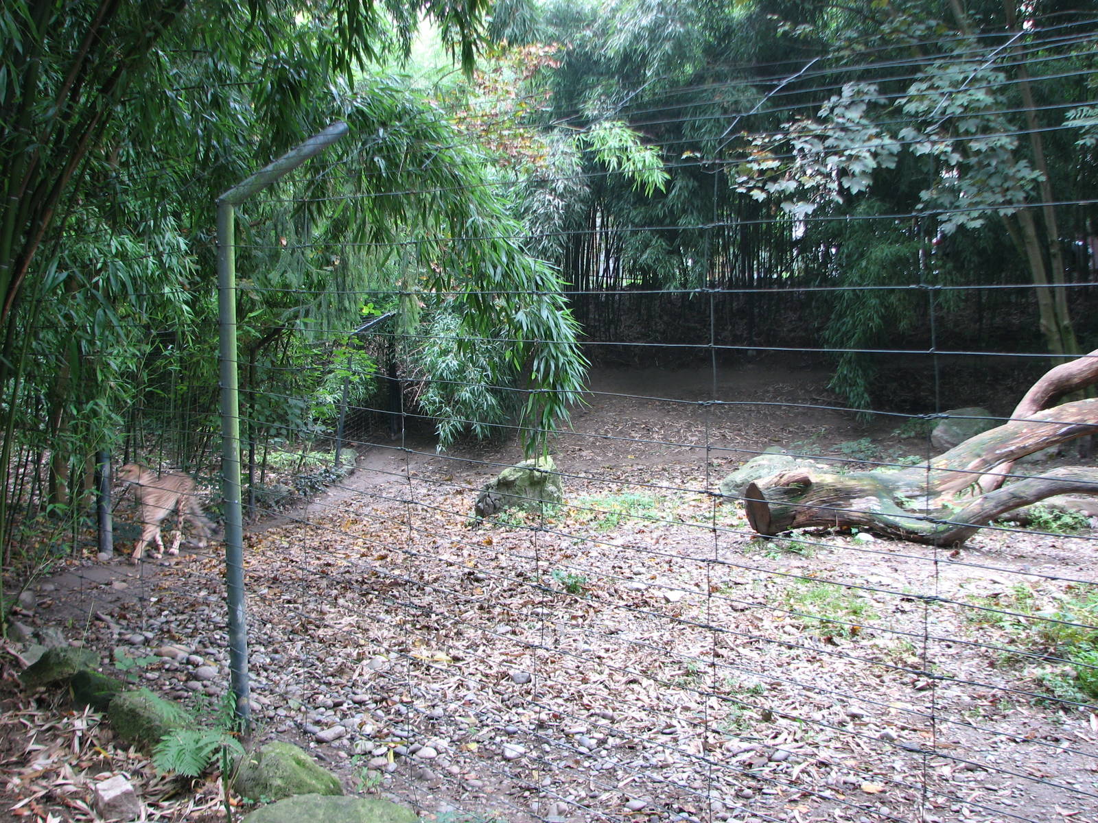 Zoo de Mulhouse 2006 - Cheetah enclosure