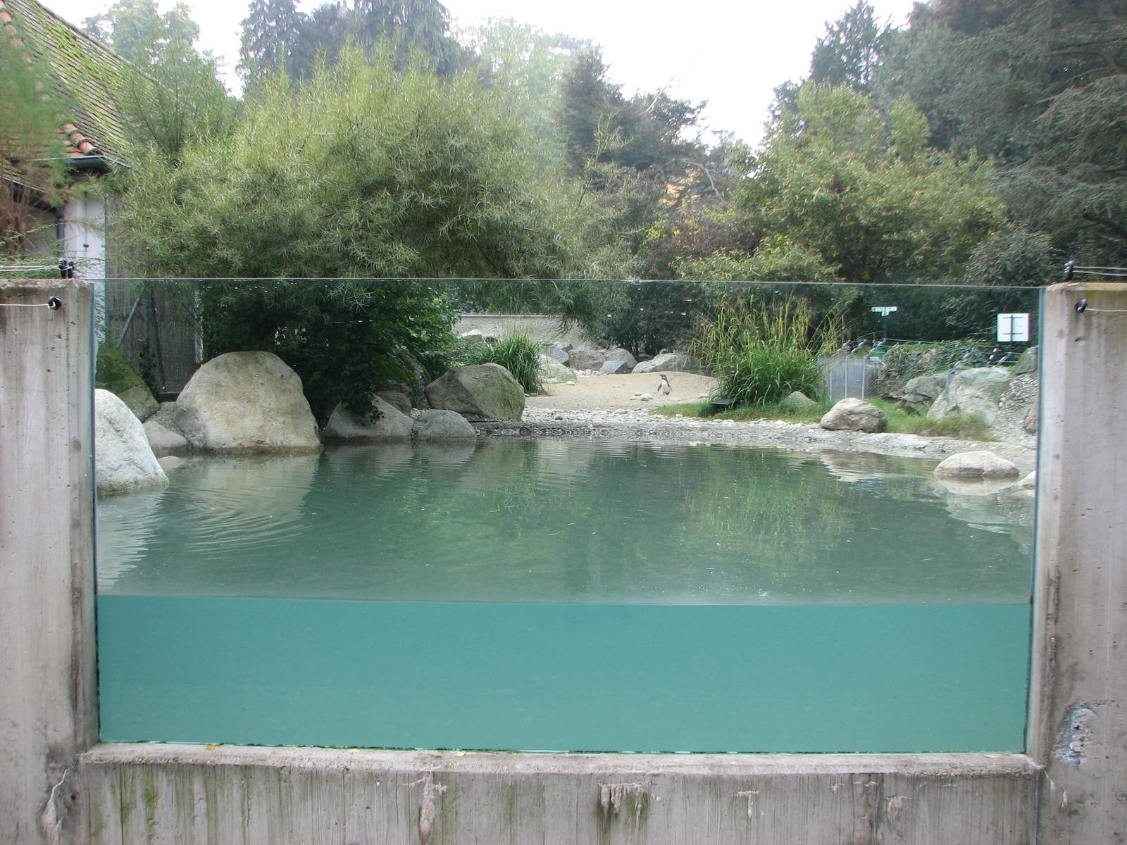 Zoo de Mulhouse 2006 - Front of Penguin exhibit