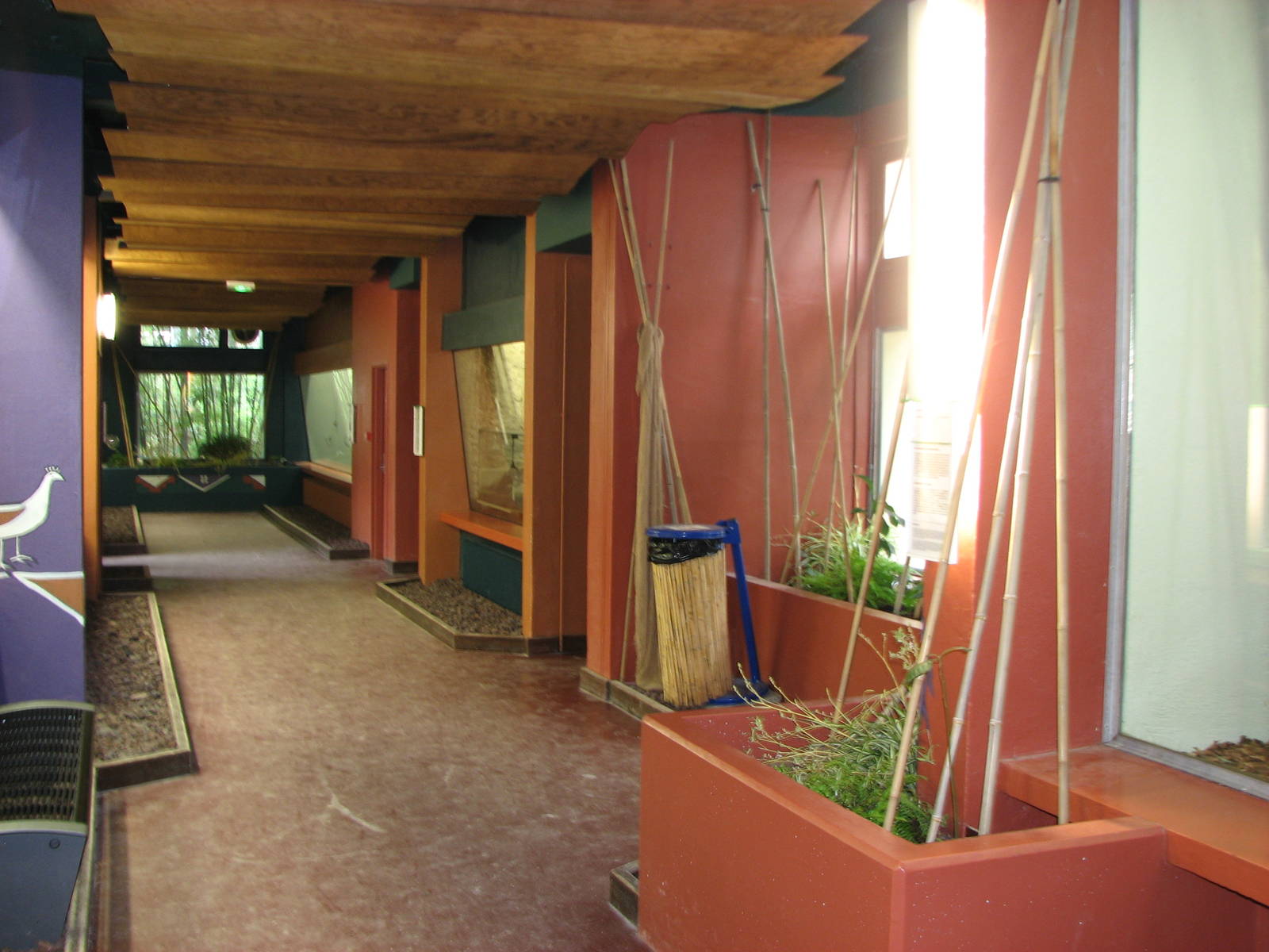 Zoo de Mulhouse 2006 - Inside the Primate House