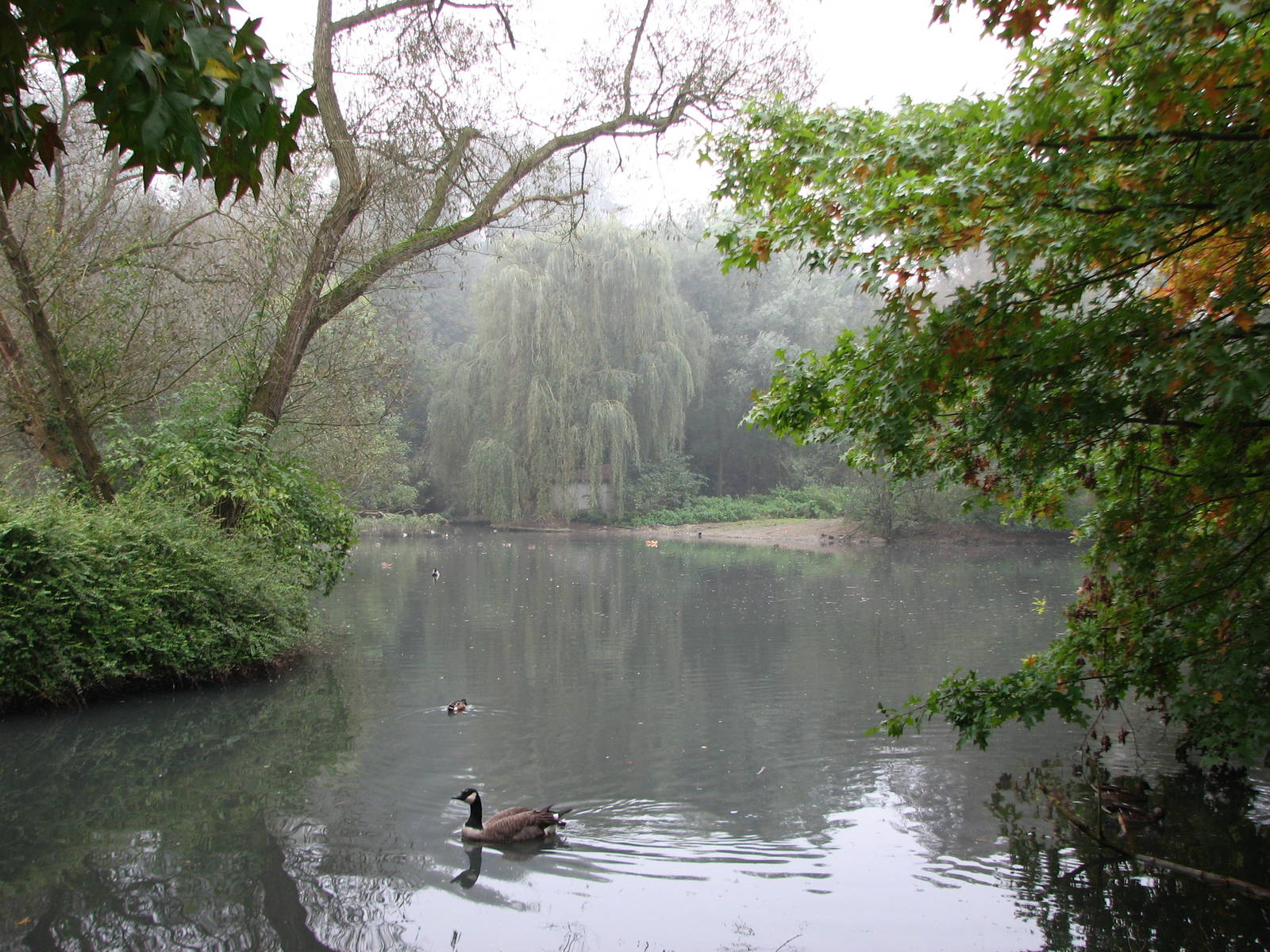 Zoo de Mulhouse 2006 - Lake in the Zoo