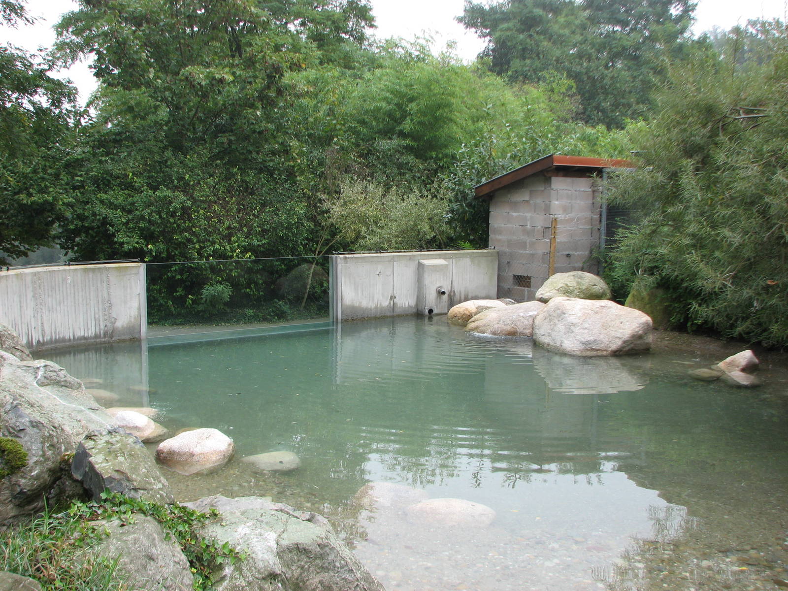 Zoo de Mulhouse 2006 - Penguin exhibit