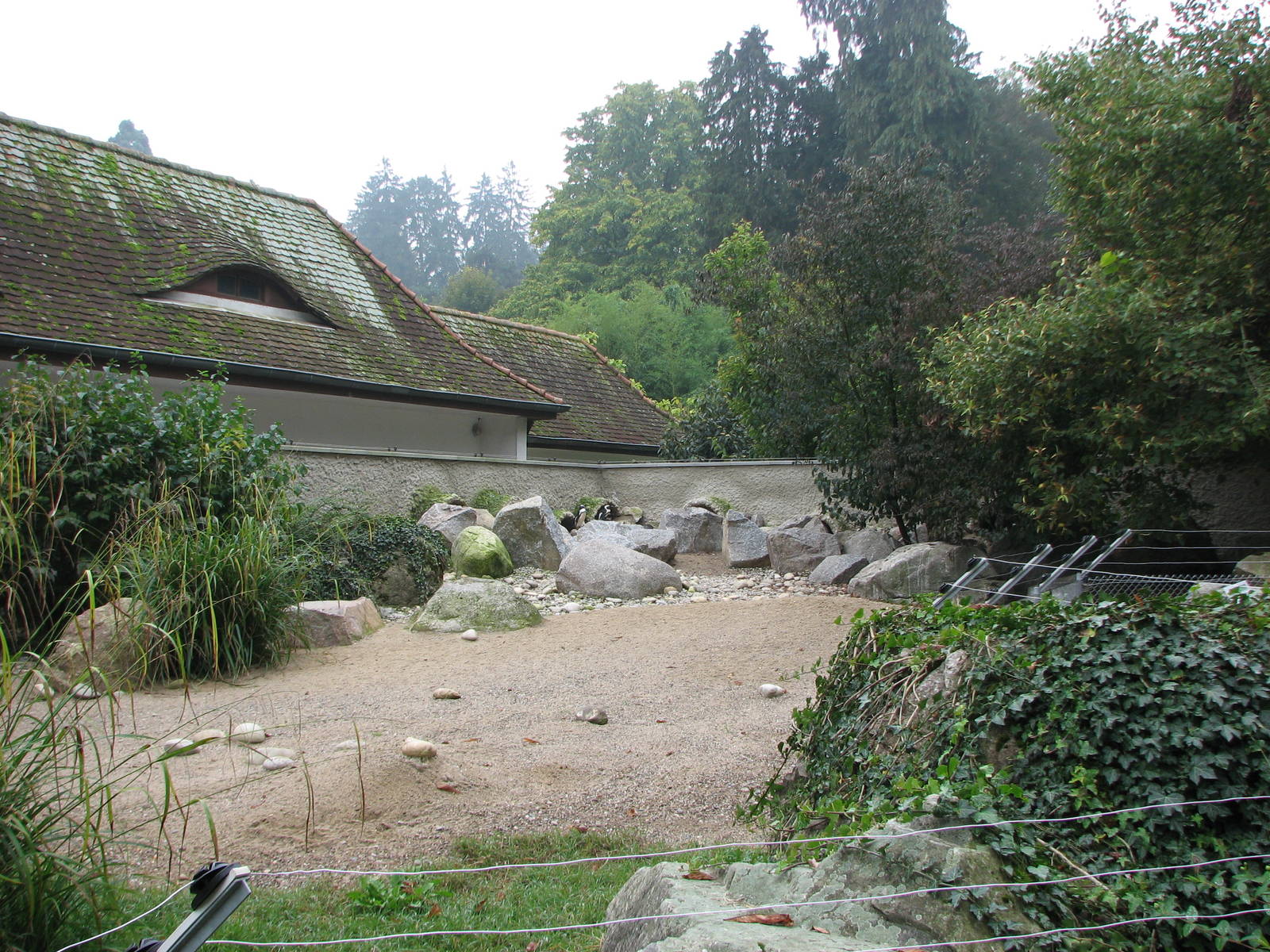 Zoo de Mulhouse 2006 - Penguin exhibit