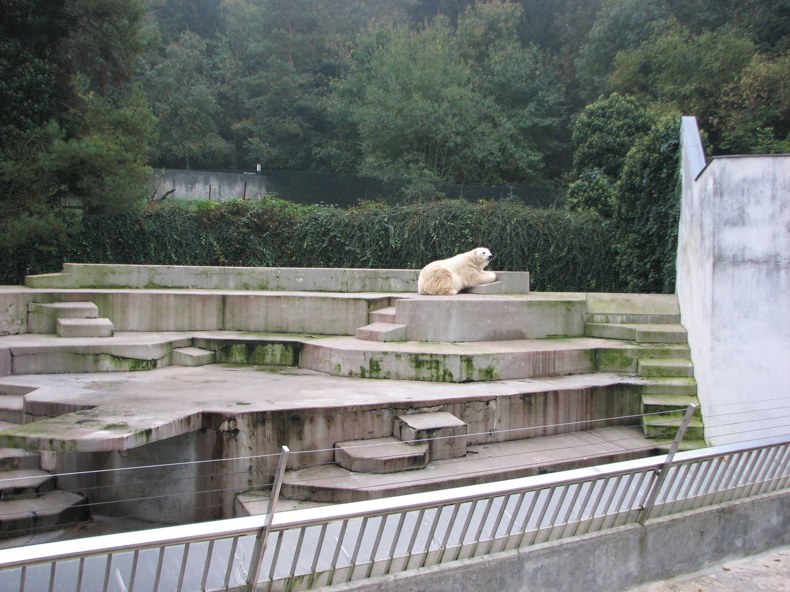 Zoo de Mulhouse 2006 - Right side of the Polar Bear exhibit