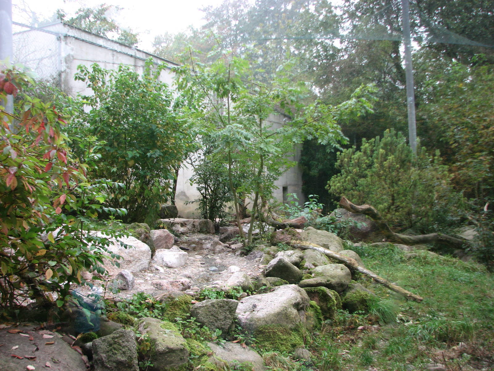 Zoo de Mulhouse 2006 - Snow Leopard exhibit