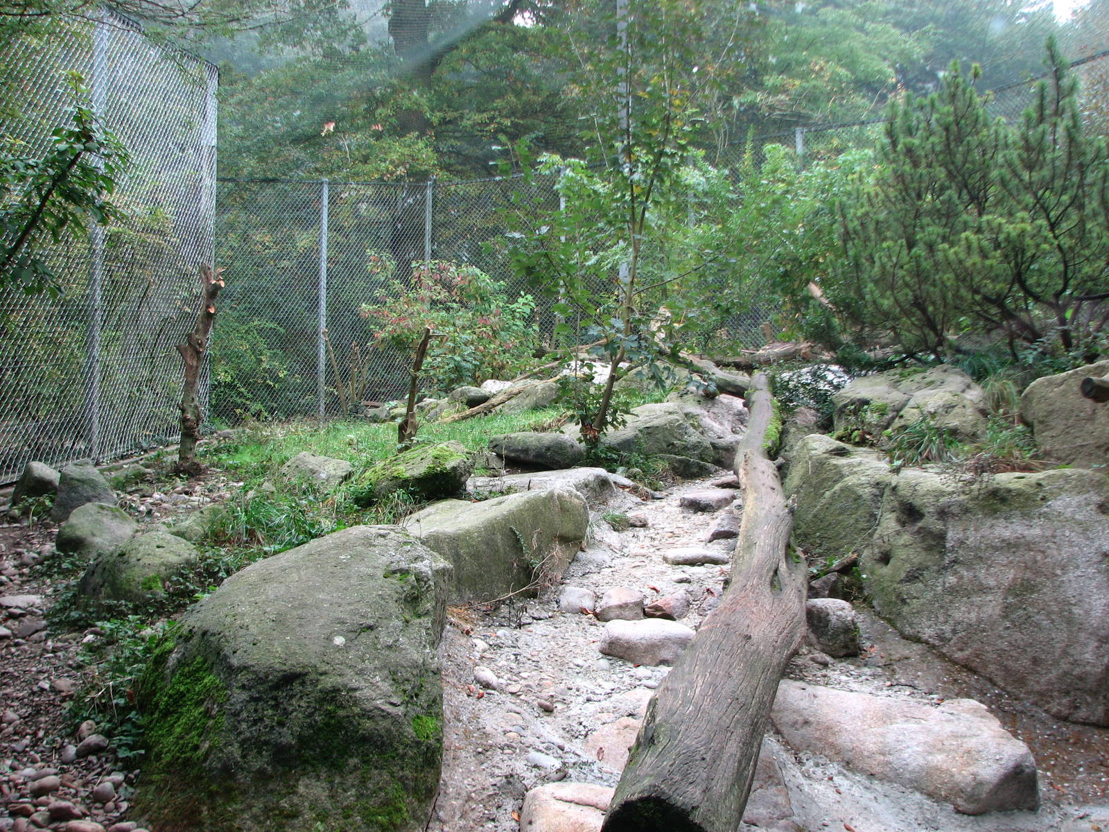 Zoo de Mulhouse 2006 - Snow Leopard exhibit