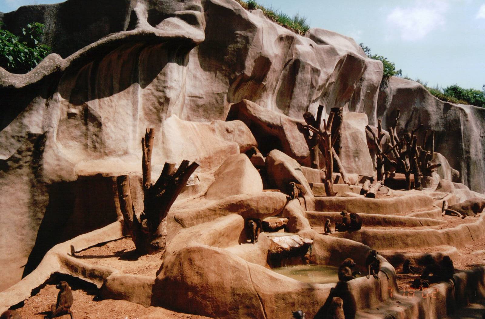 Zoo de Vincennes 2002 - Baboon exhibit