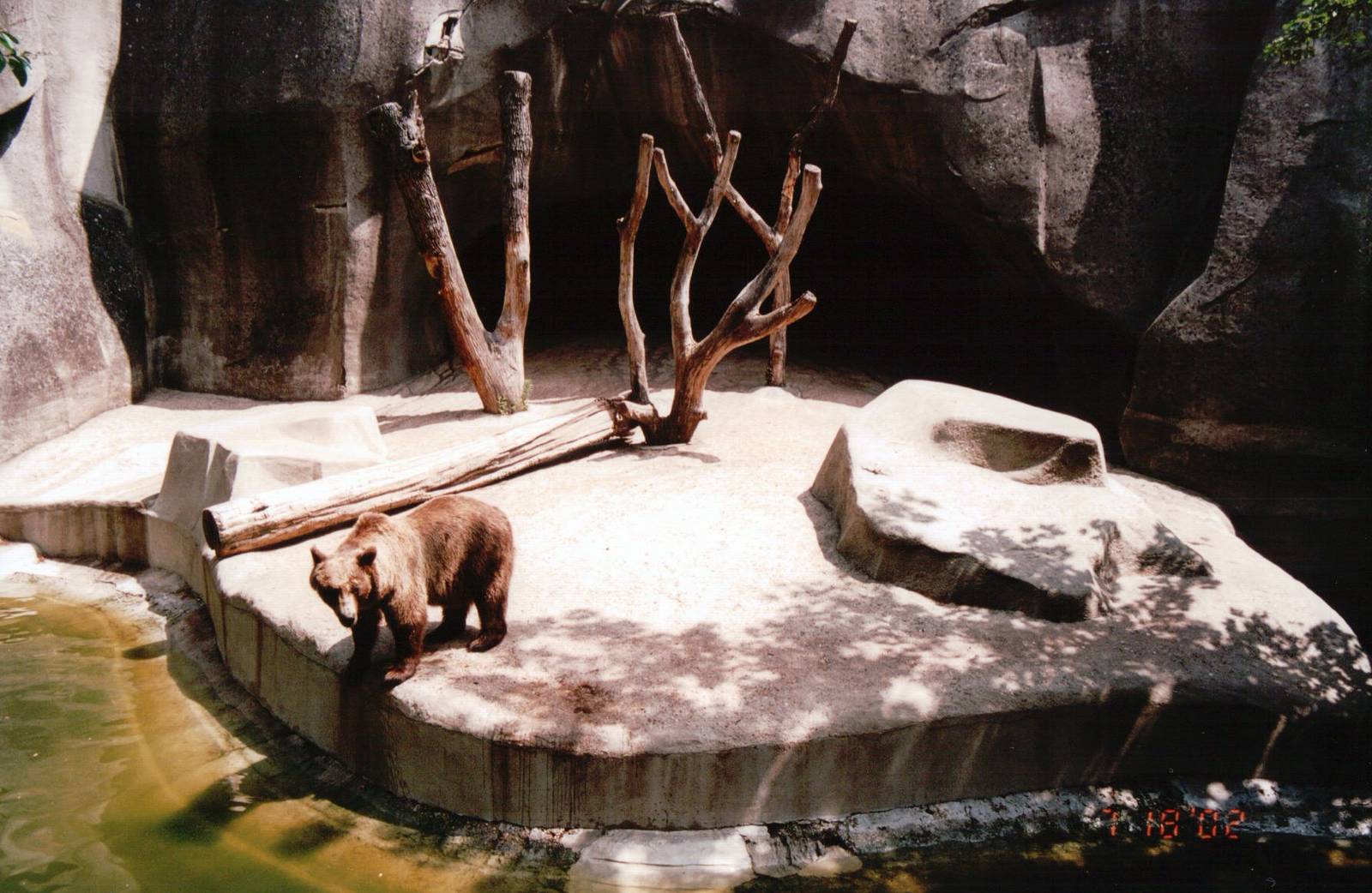 Zoo de Vincennes 2002 - Brown Bear exhibit