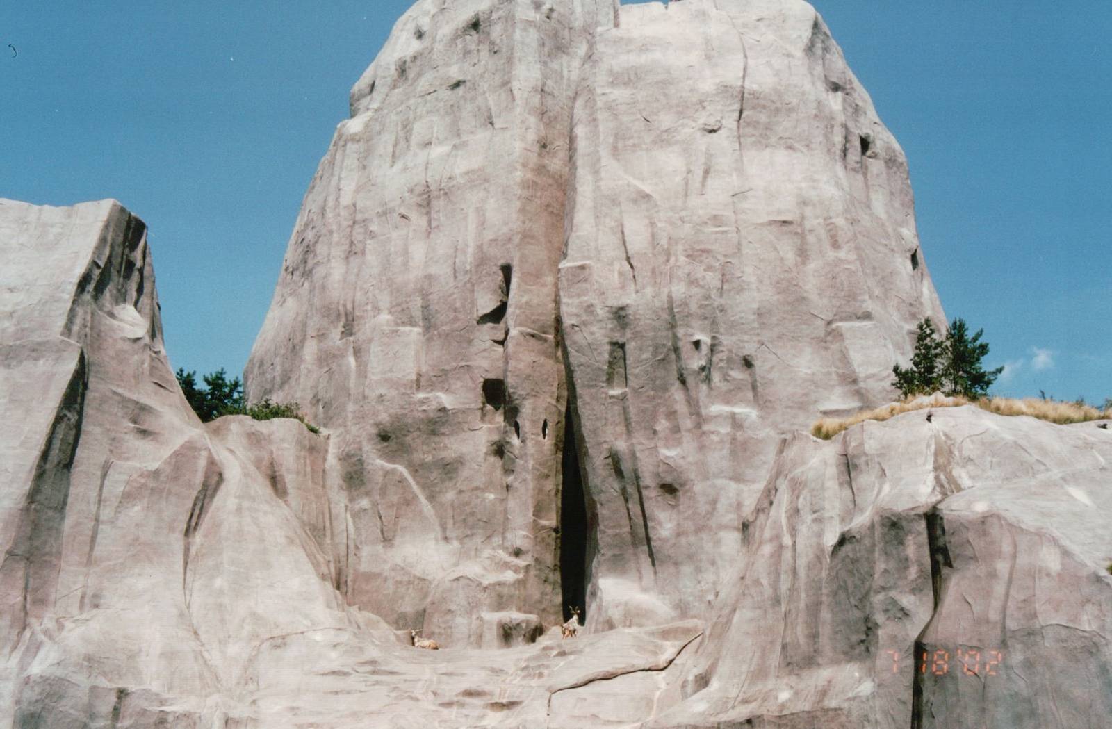 Zoo de Vincennes 2002 - Bukharan Markhor on the Grand Rock