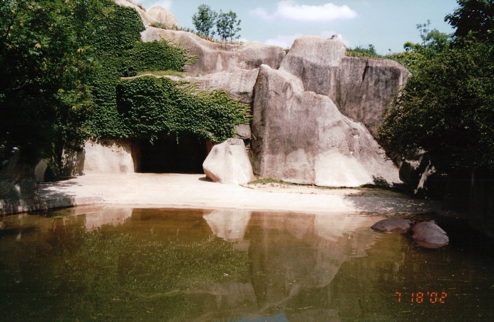 Zoo de Vincennes 2002 - Common Hippopotamus exhibit