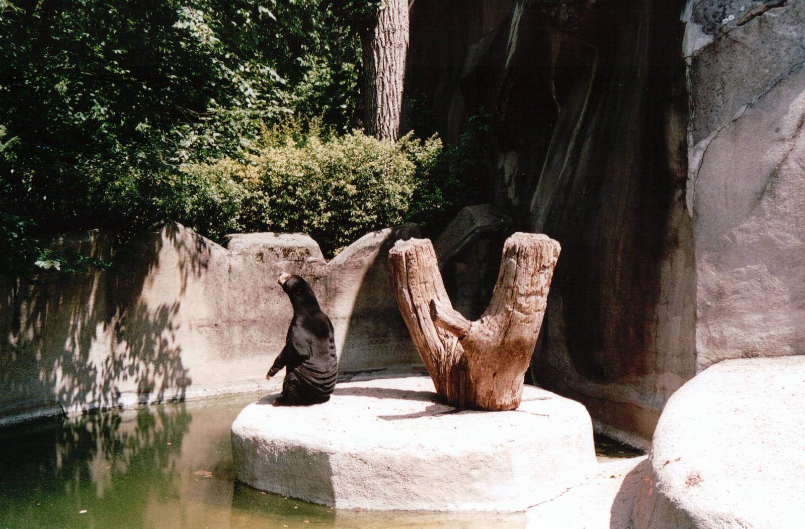 Zoo de Vincennes 2002 - Part of the Malayan Sun Bear exhibit