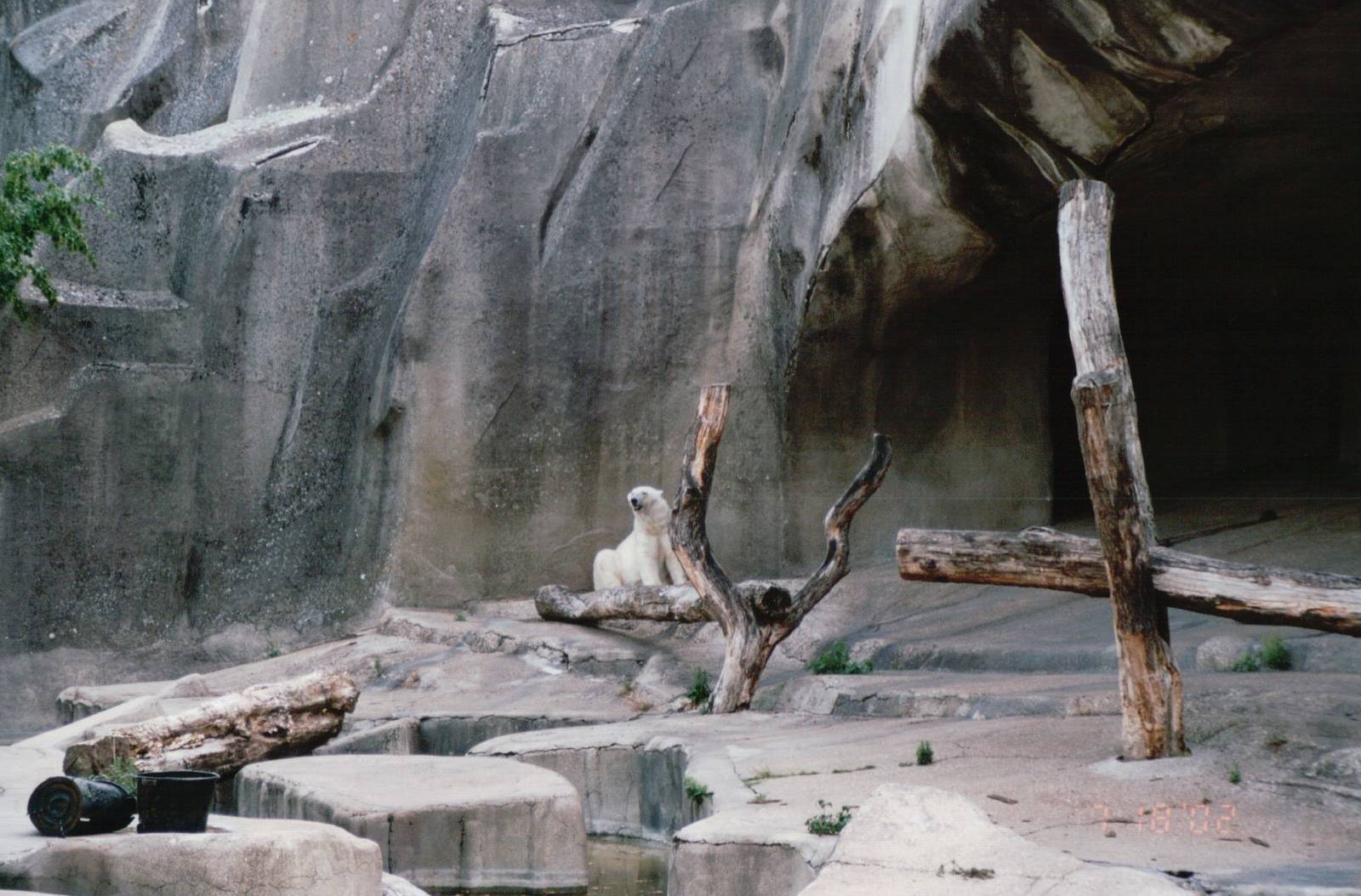 Zoo de Vincennes 2002 - Part of the Polar Bear exhibit