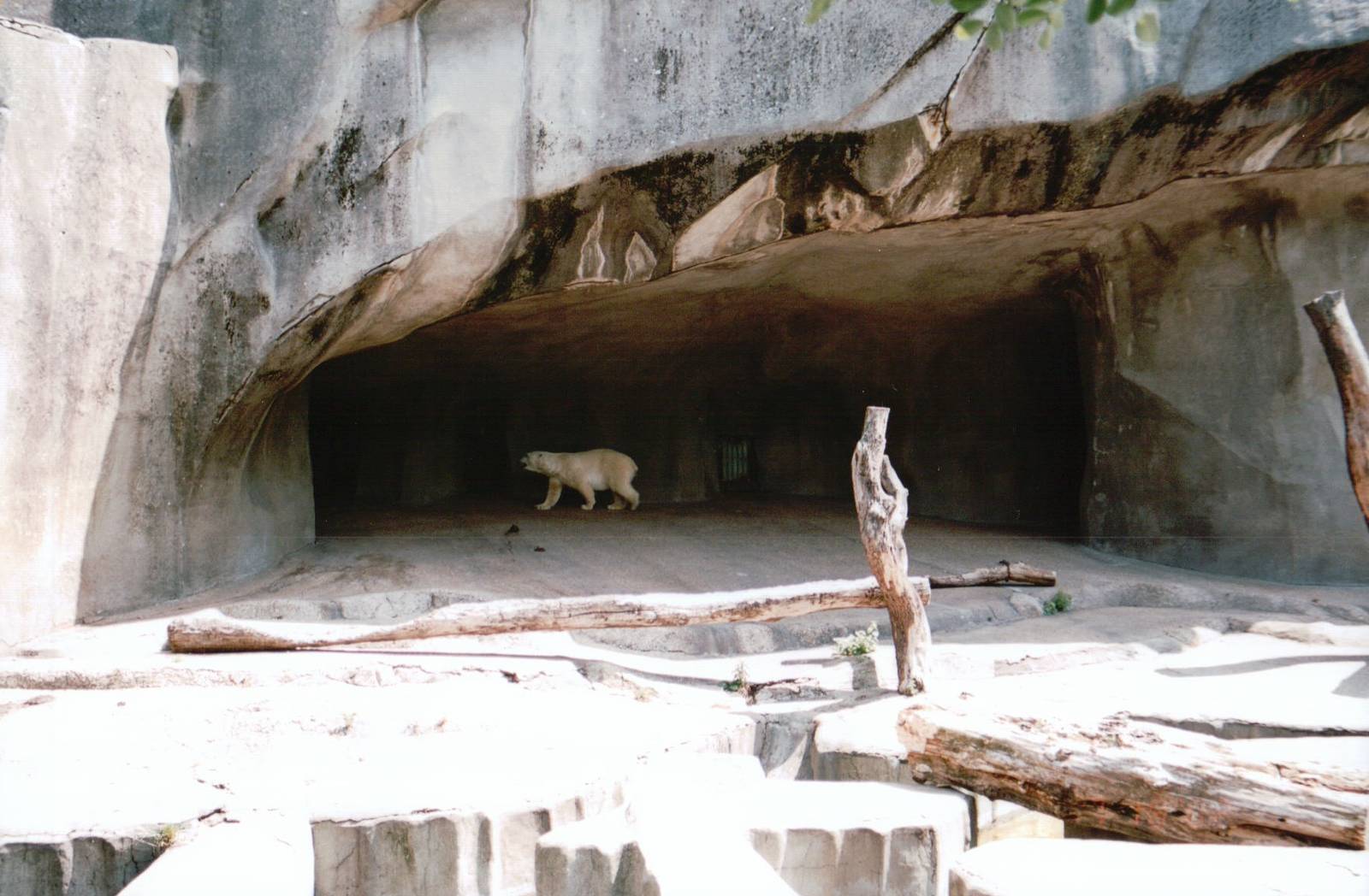 Zoo de Vincennes 2002 - Part of the Polar Bear exhibit